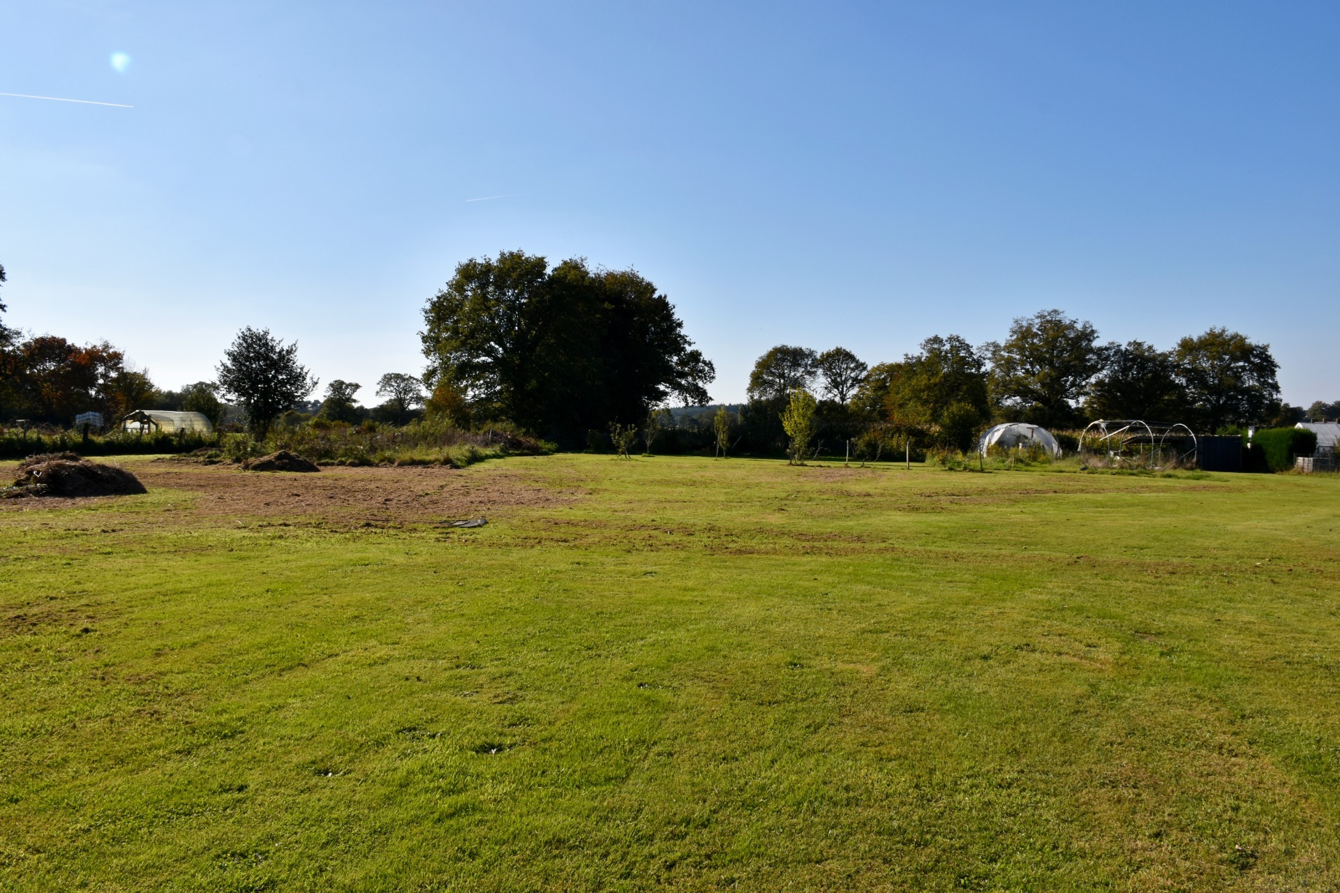 Terrain