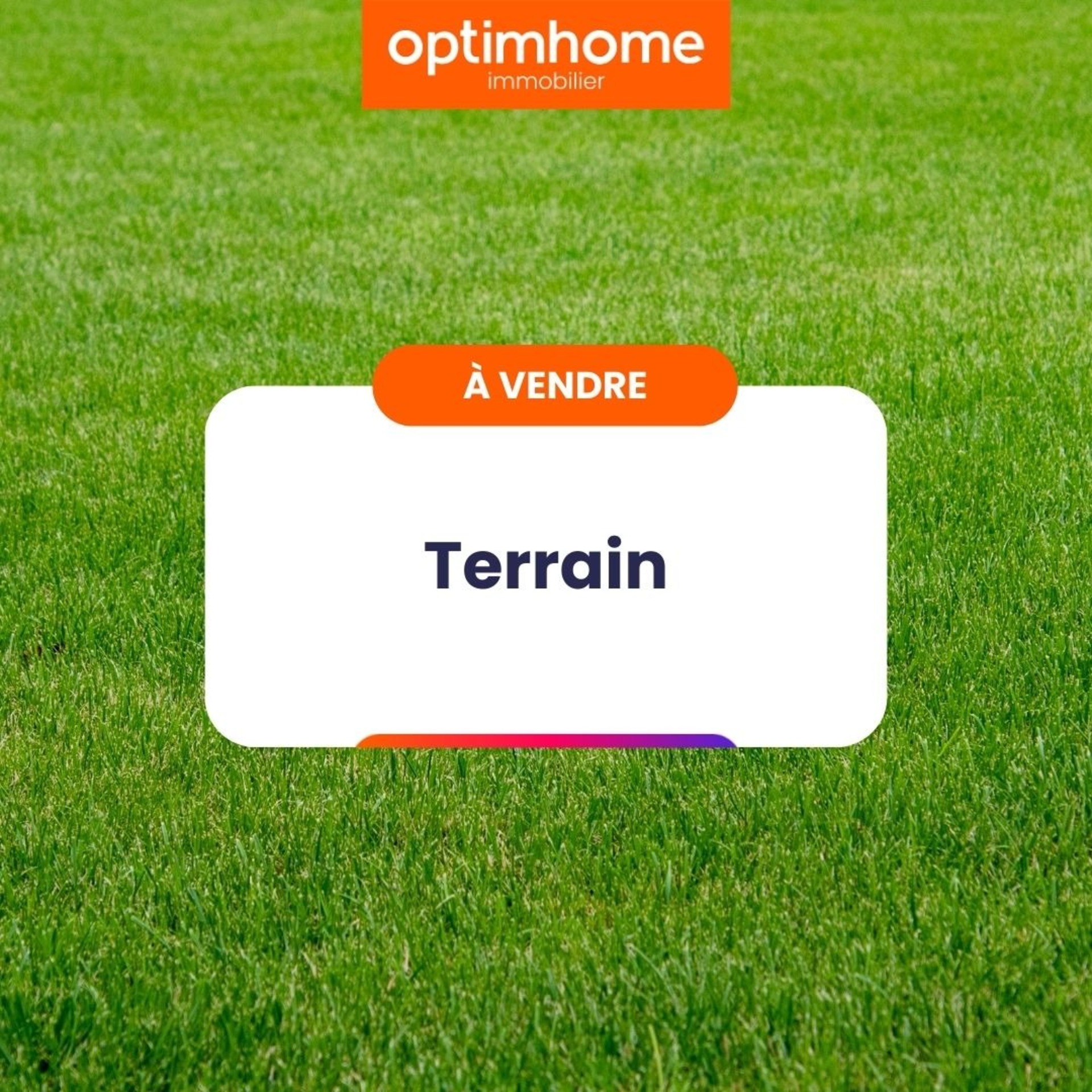 Terrain