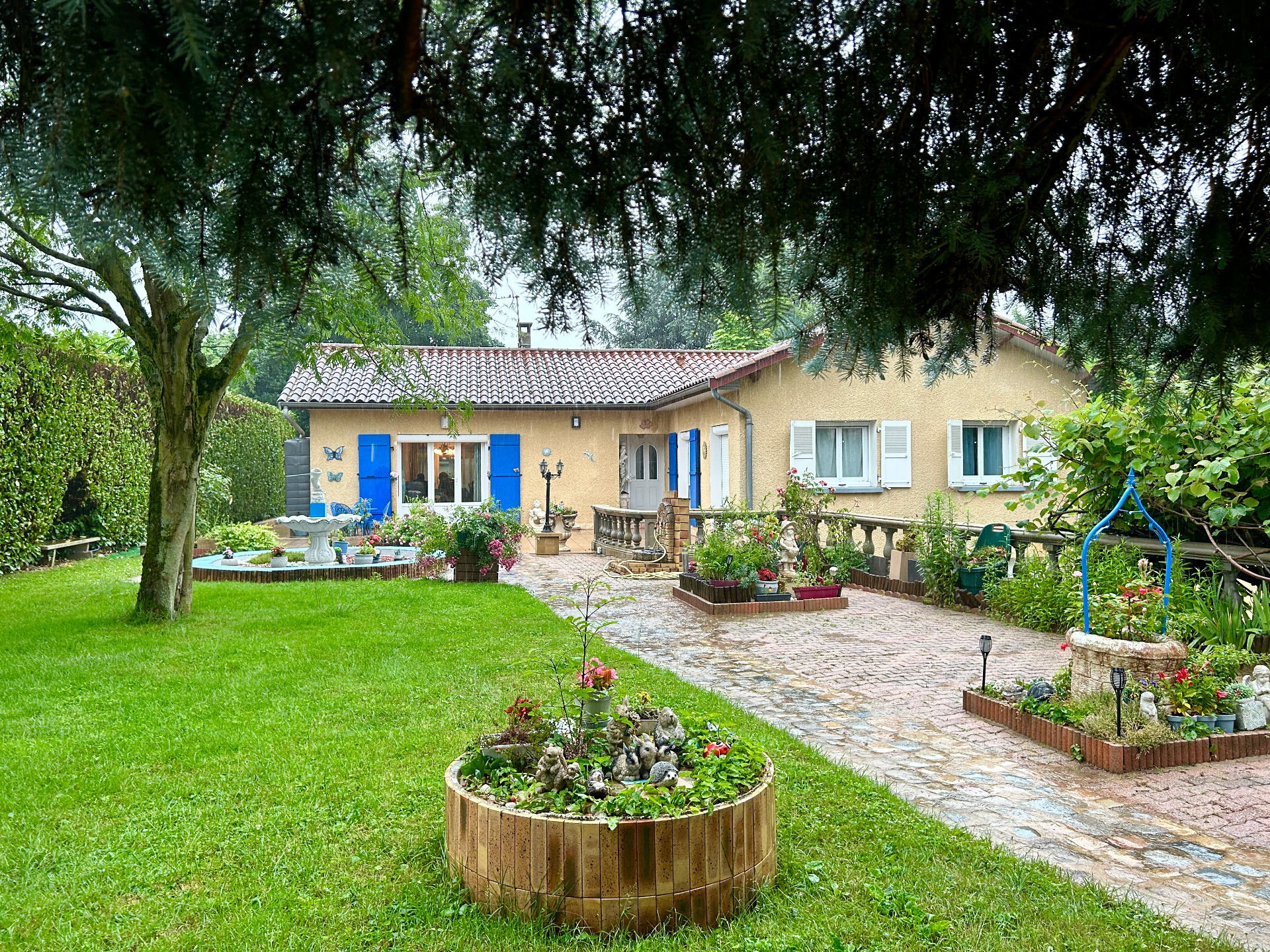 Maison