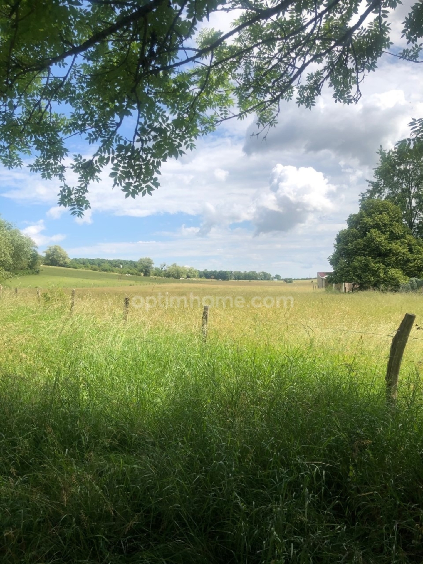Terrain