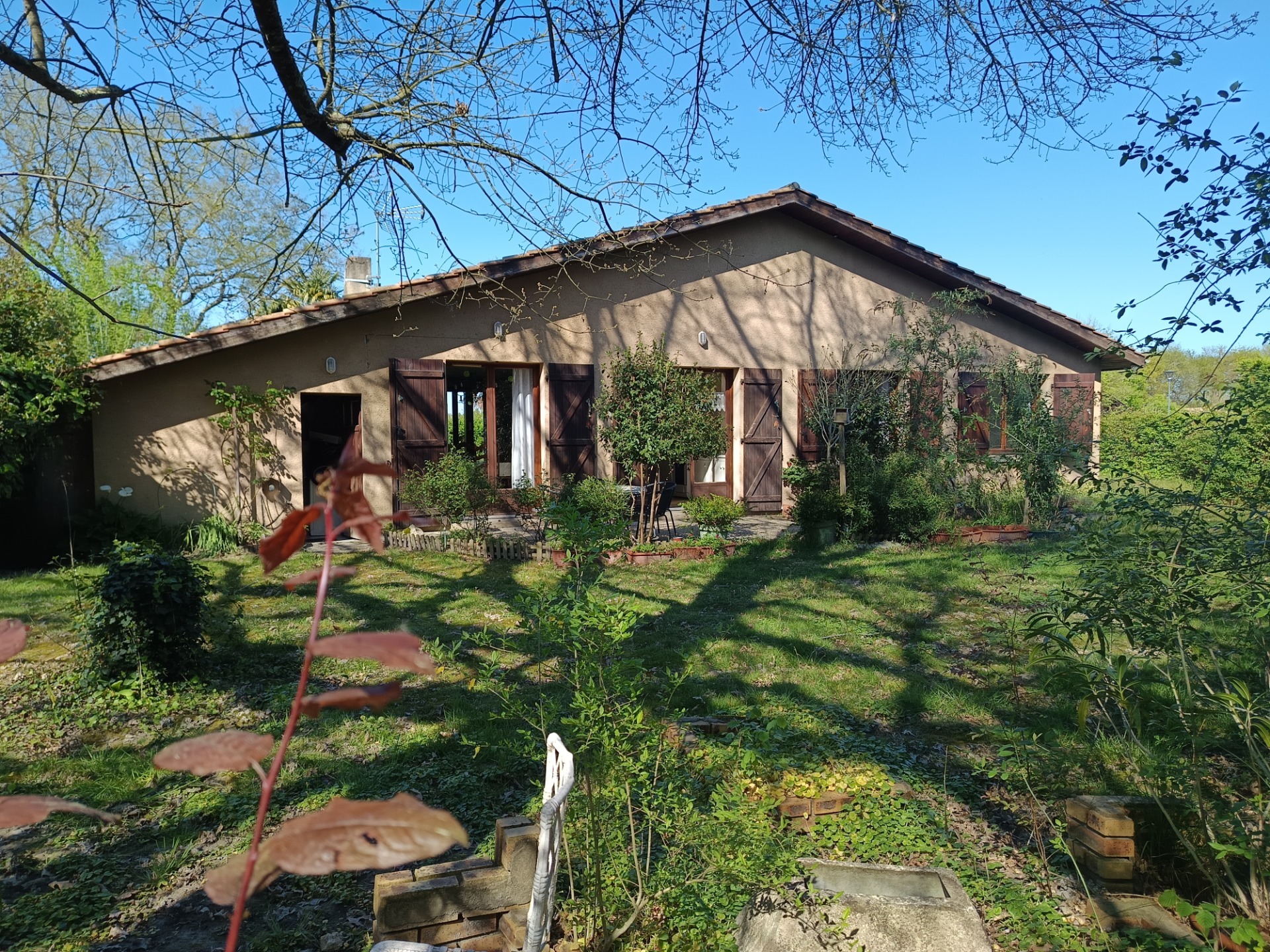 Maison