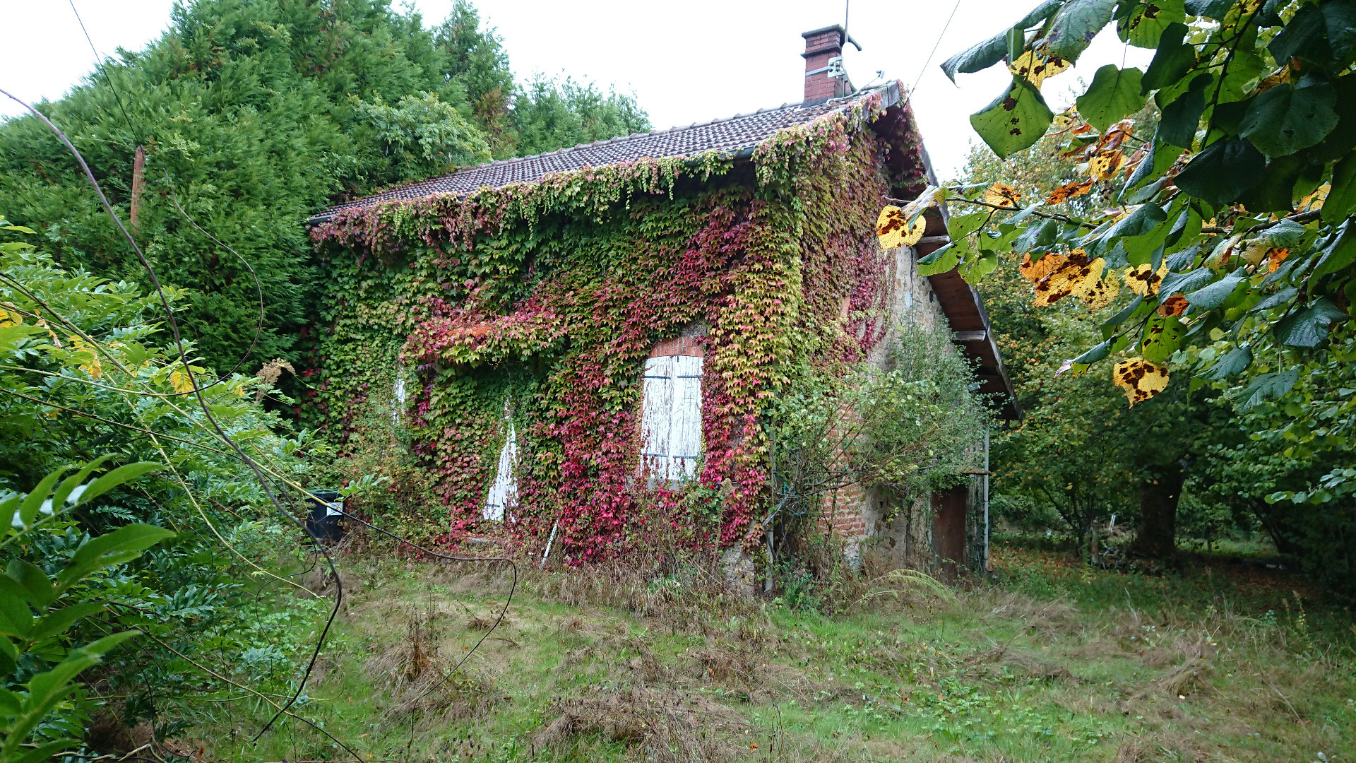 Maison