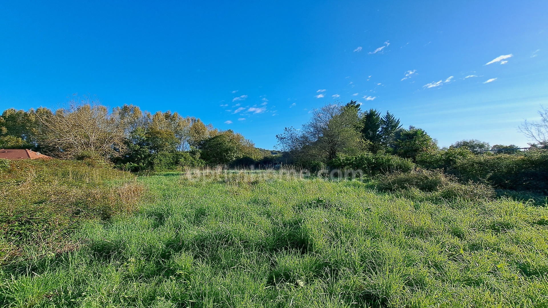 Terrain