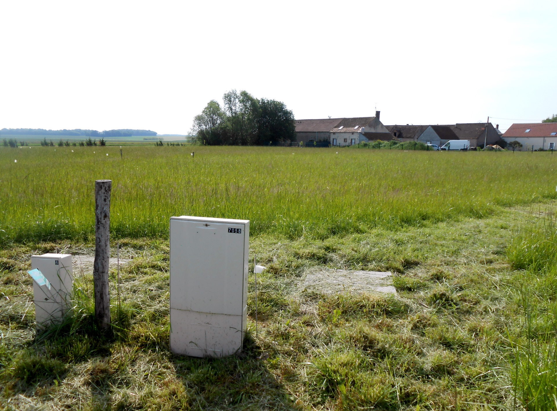 Terrain