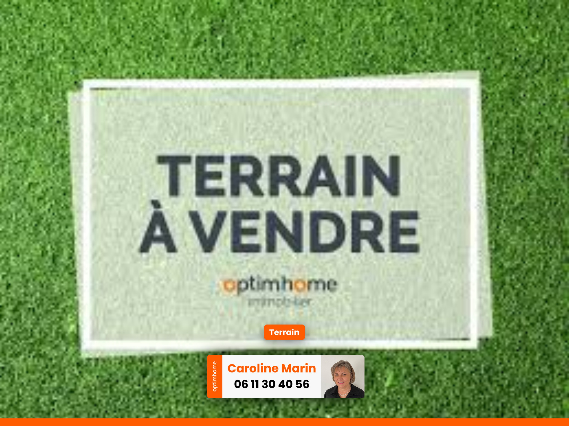 Terrain