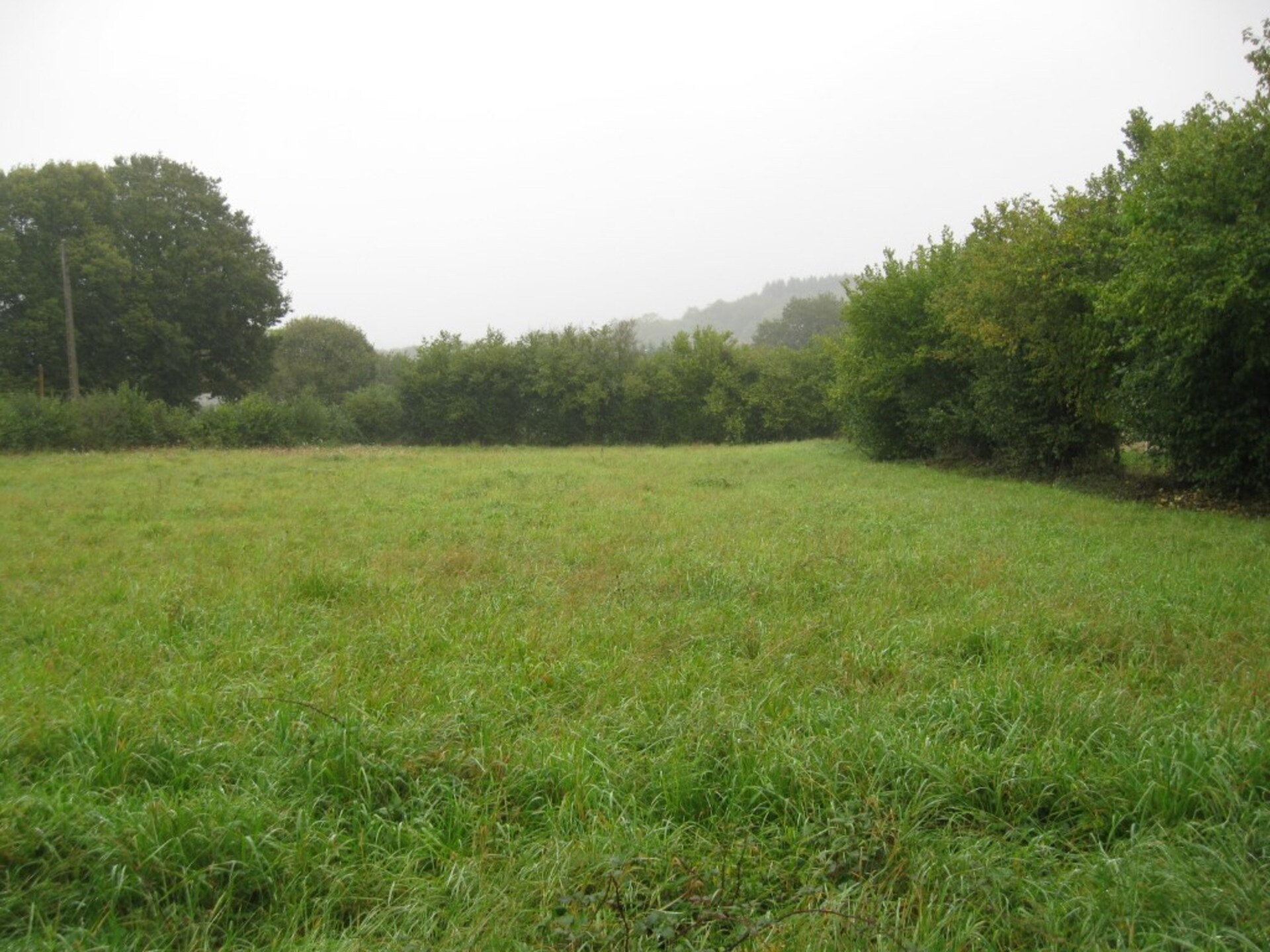 Terrain