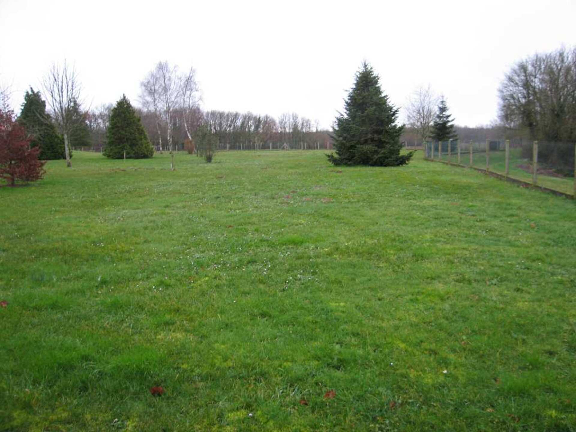 Terrain