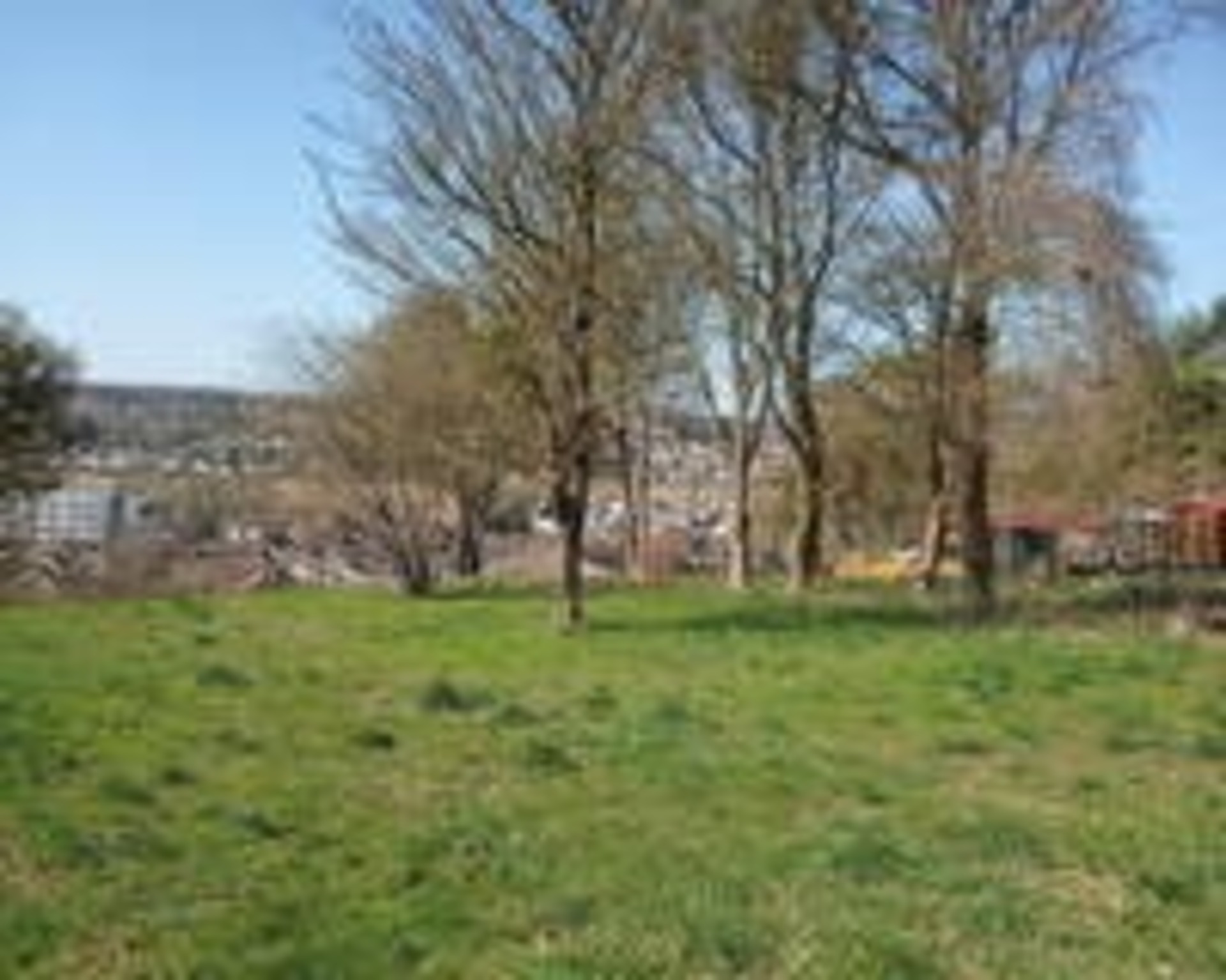Terrain