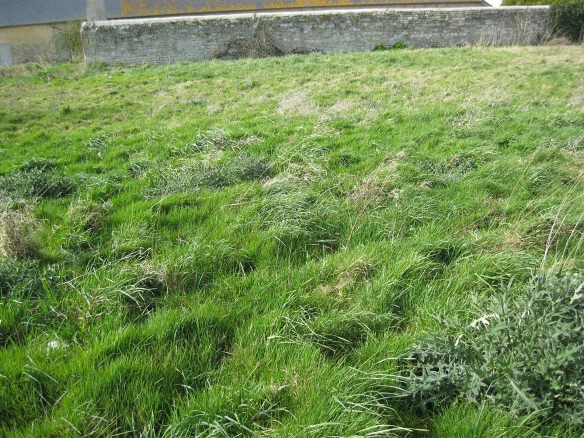 Terrain