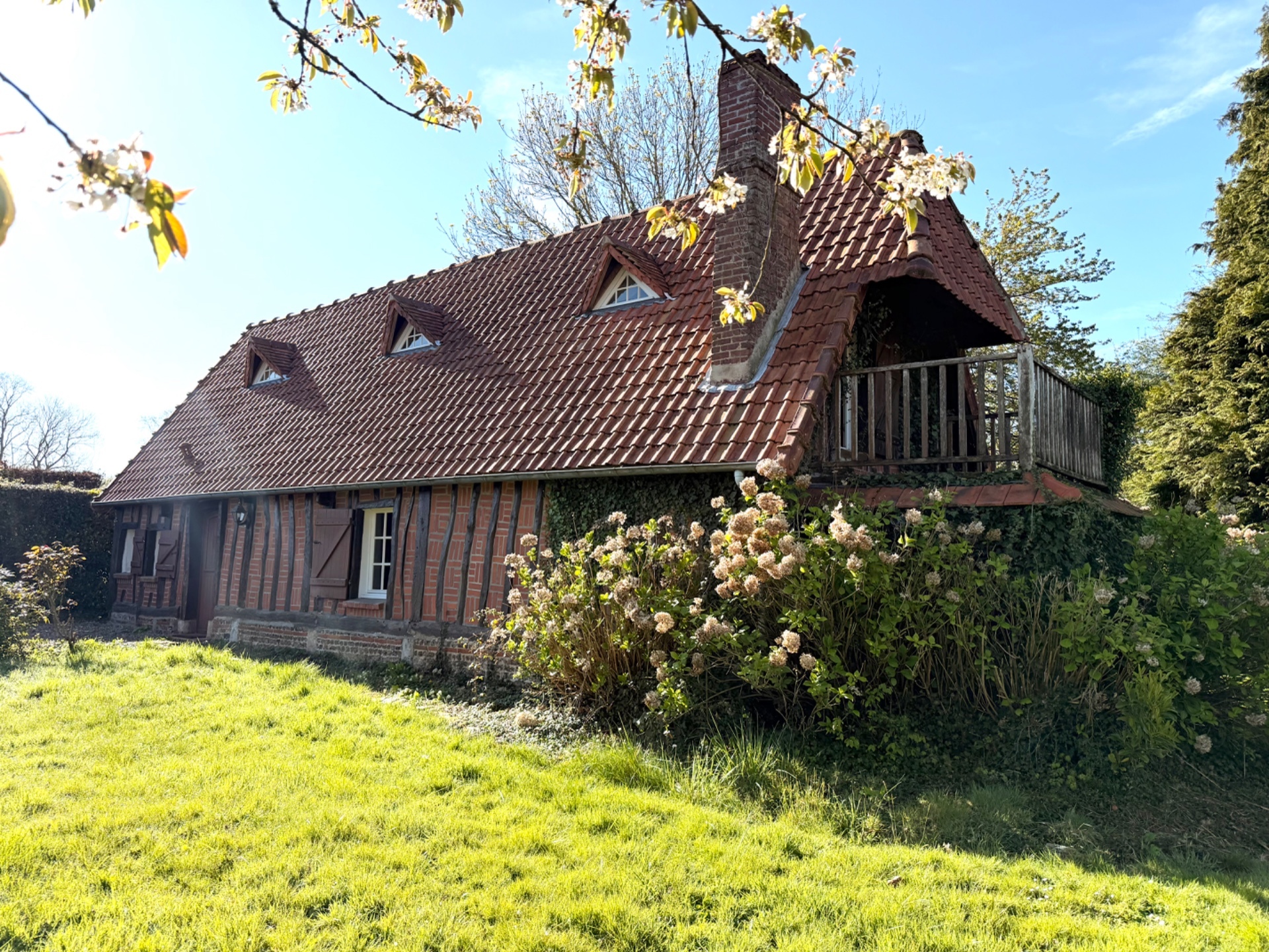 Maison