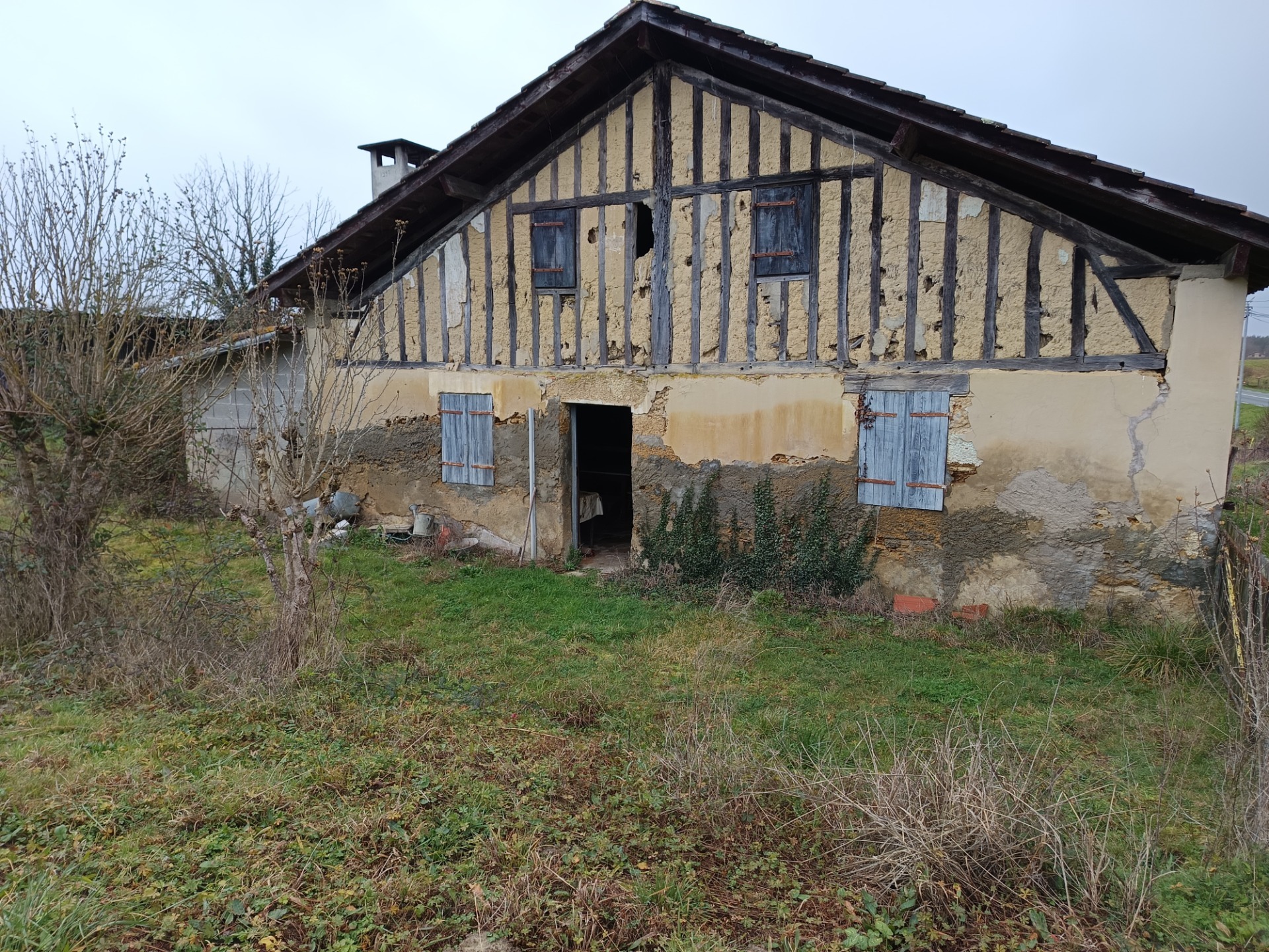 Maison