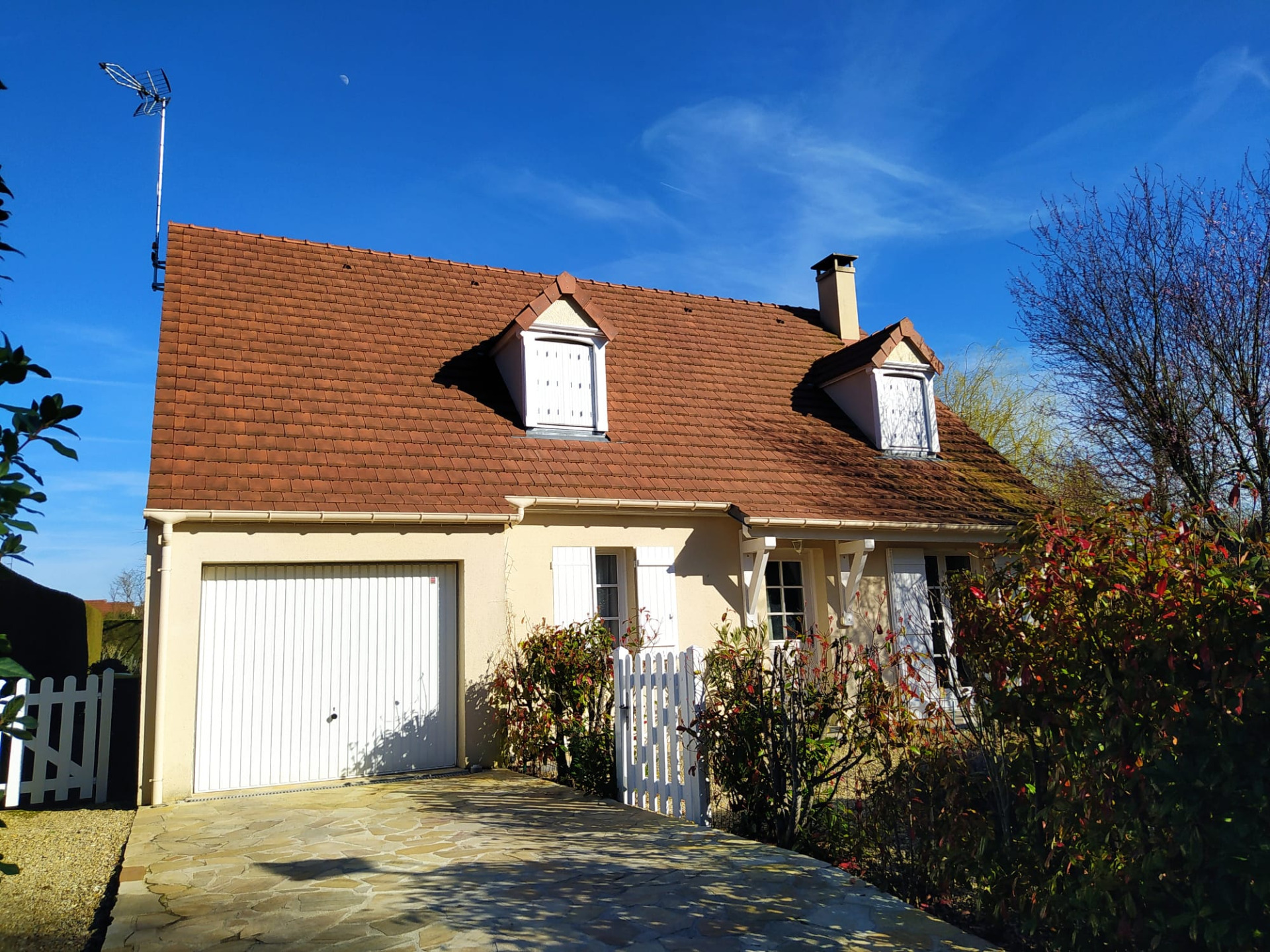 Maison