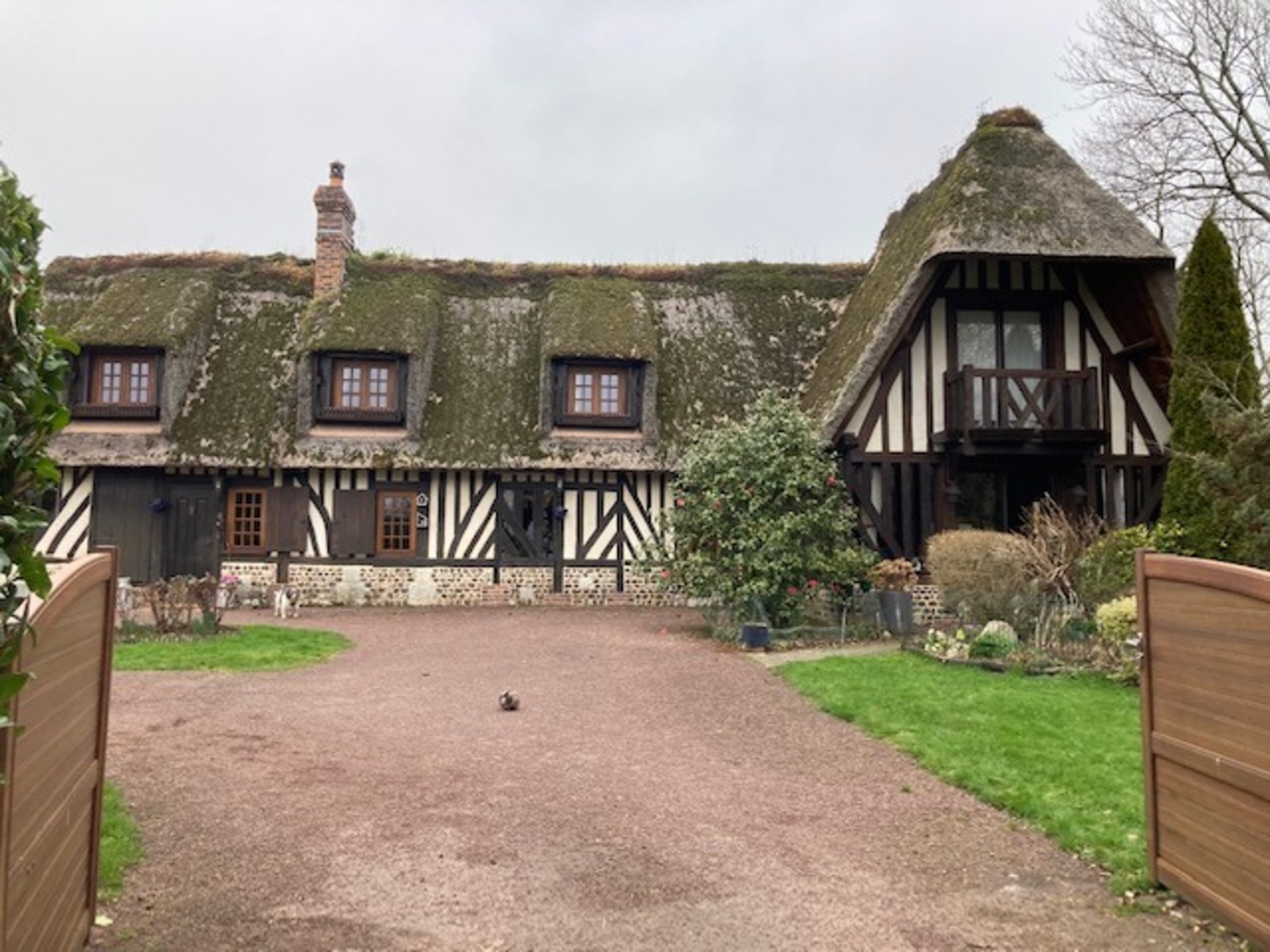 Maison