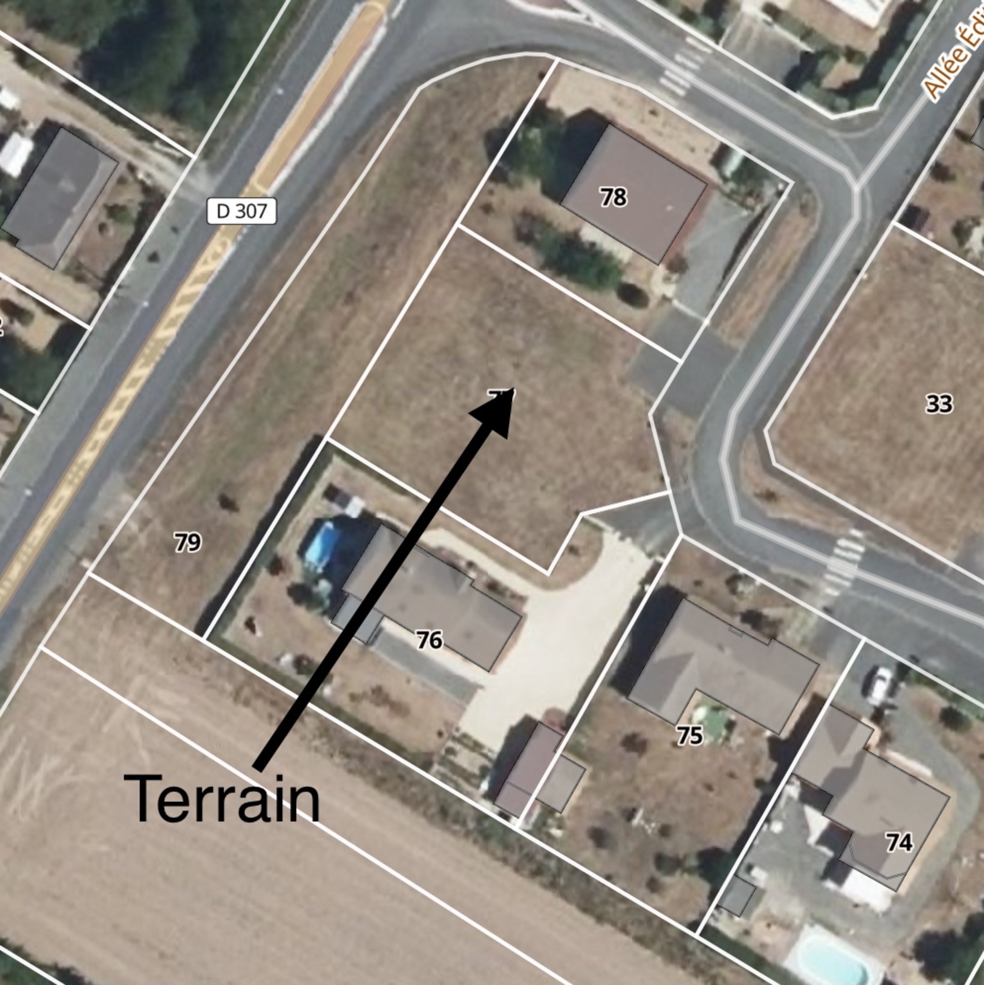 Terrain