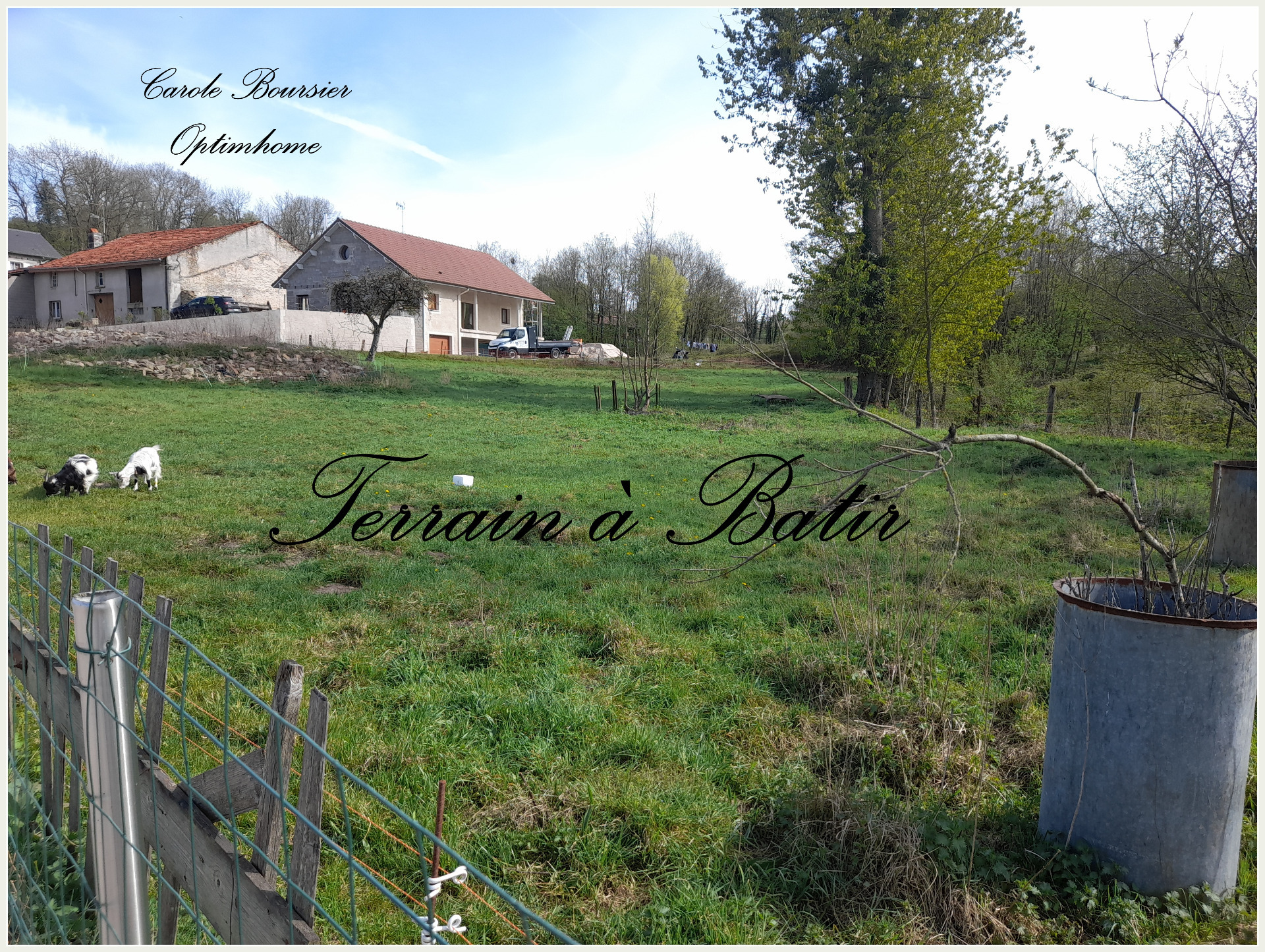 Terrain