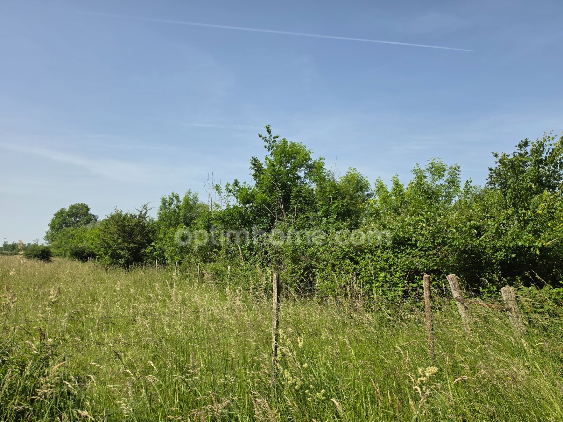 Terrain