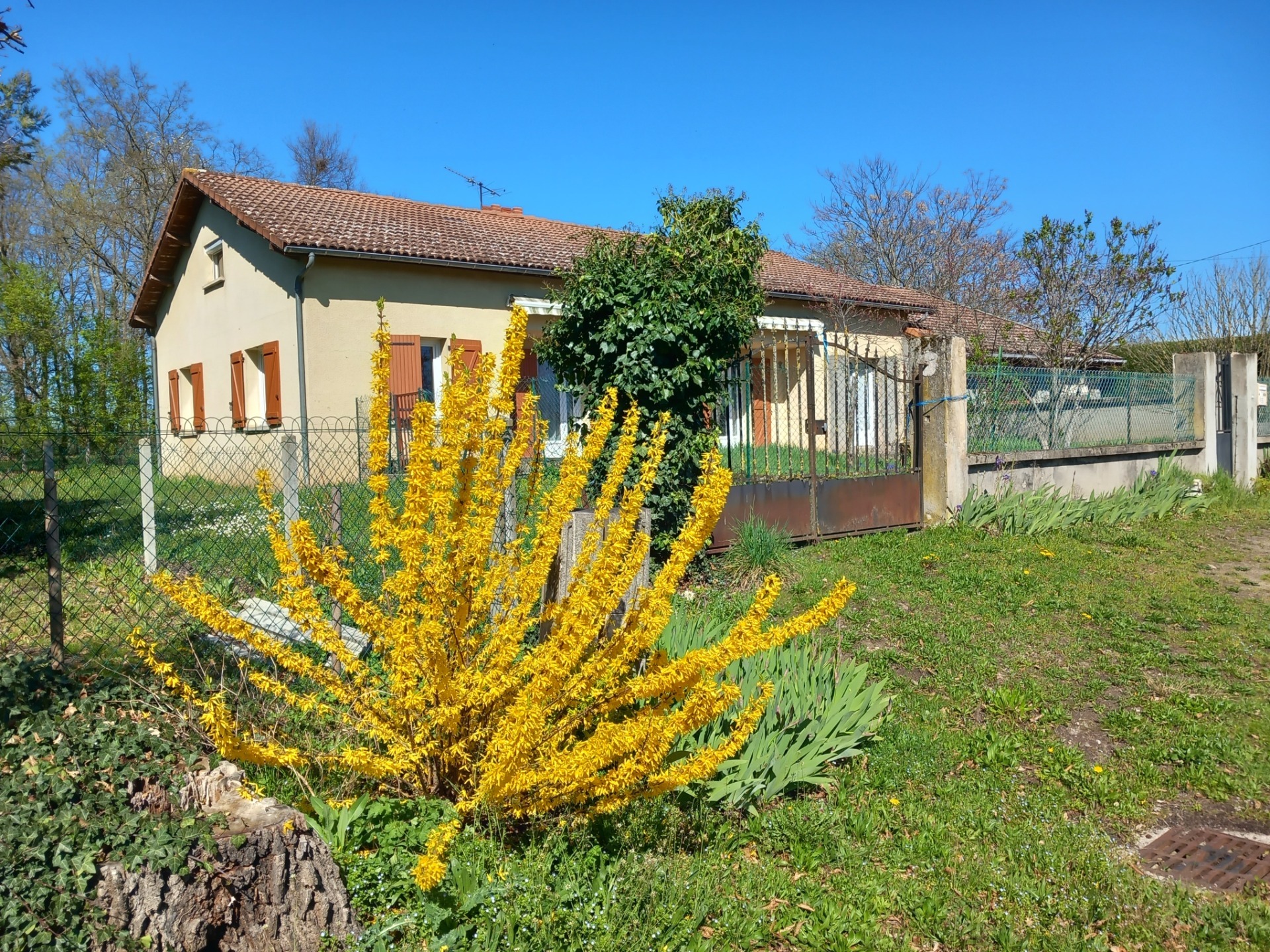 Maison