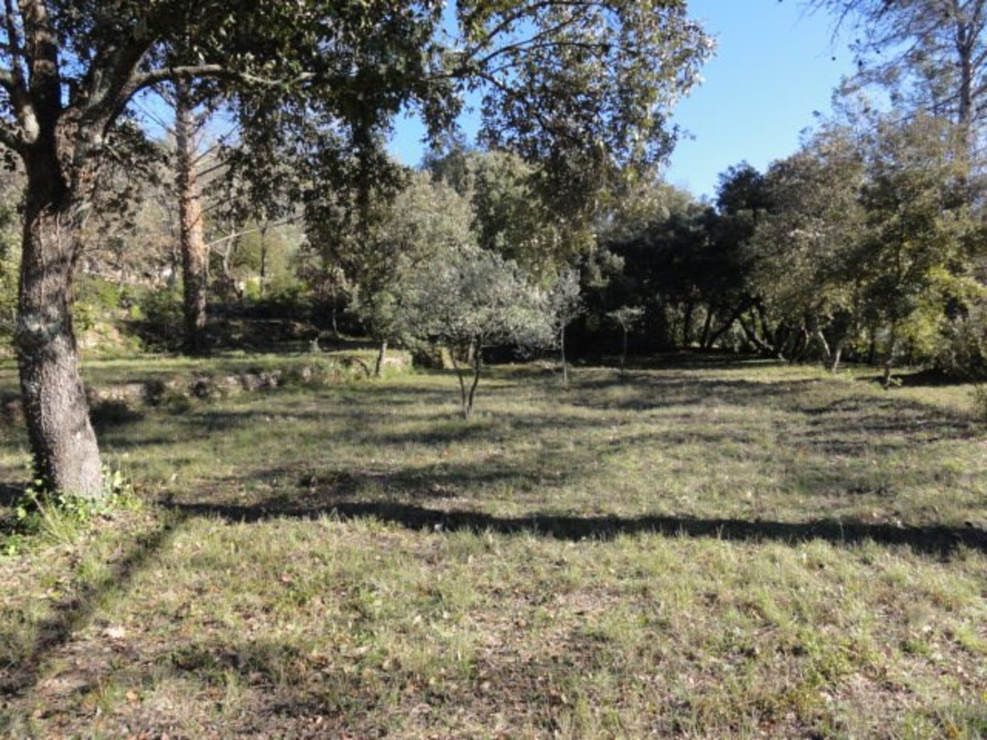 Terrain