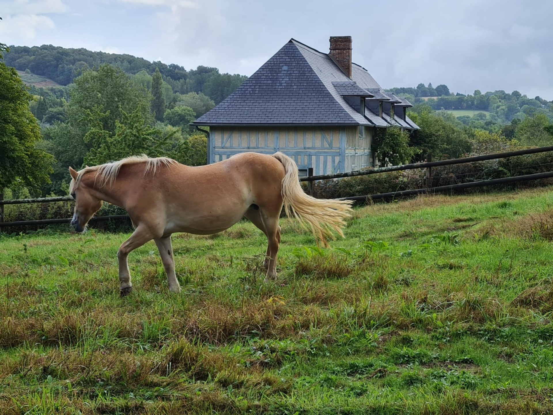 Propriété