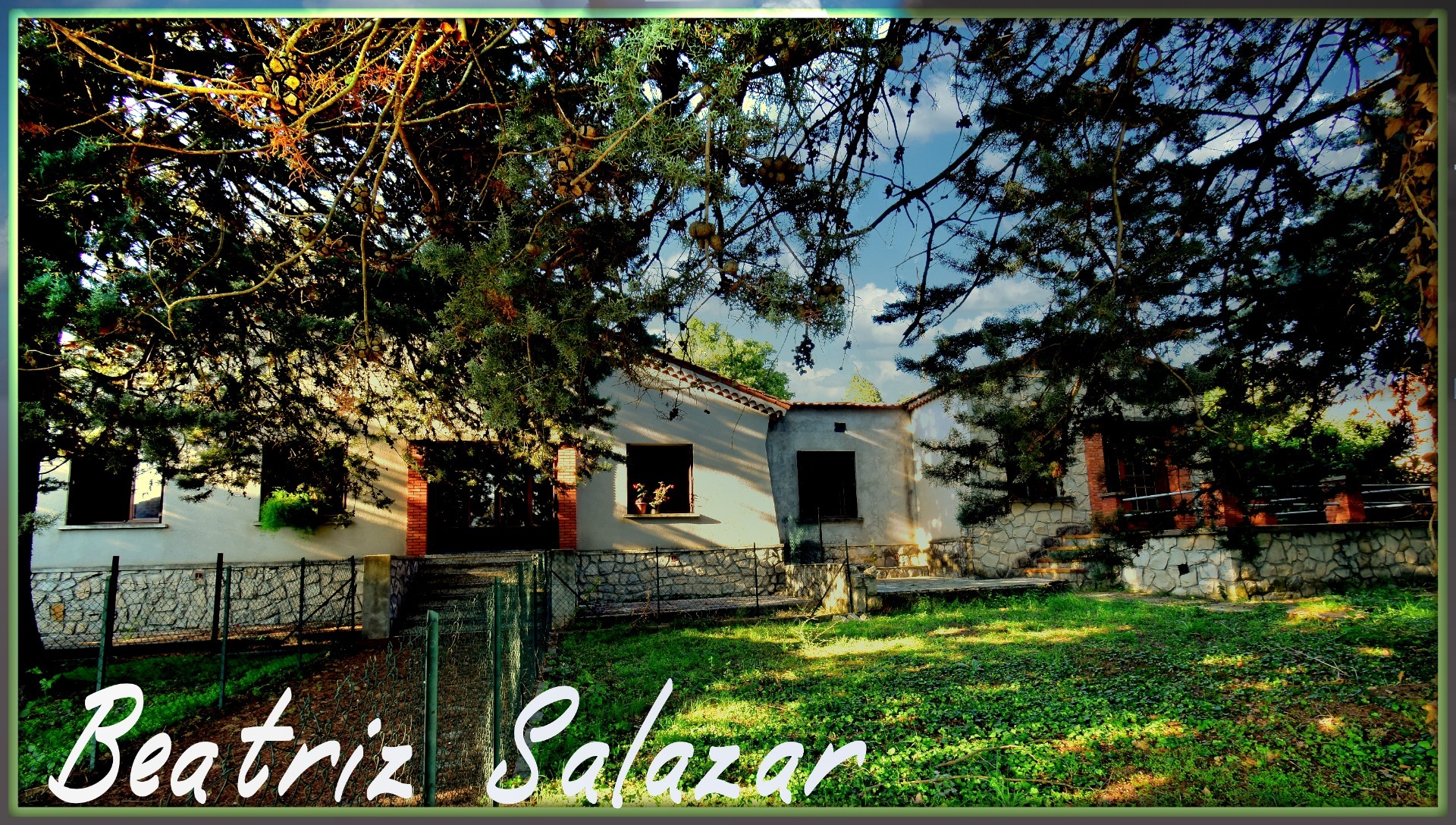 Maison
