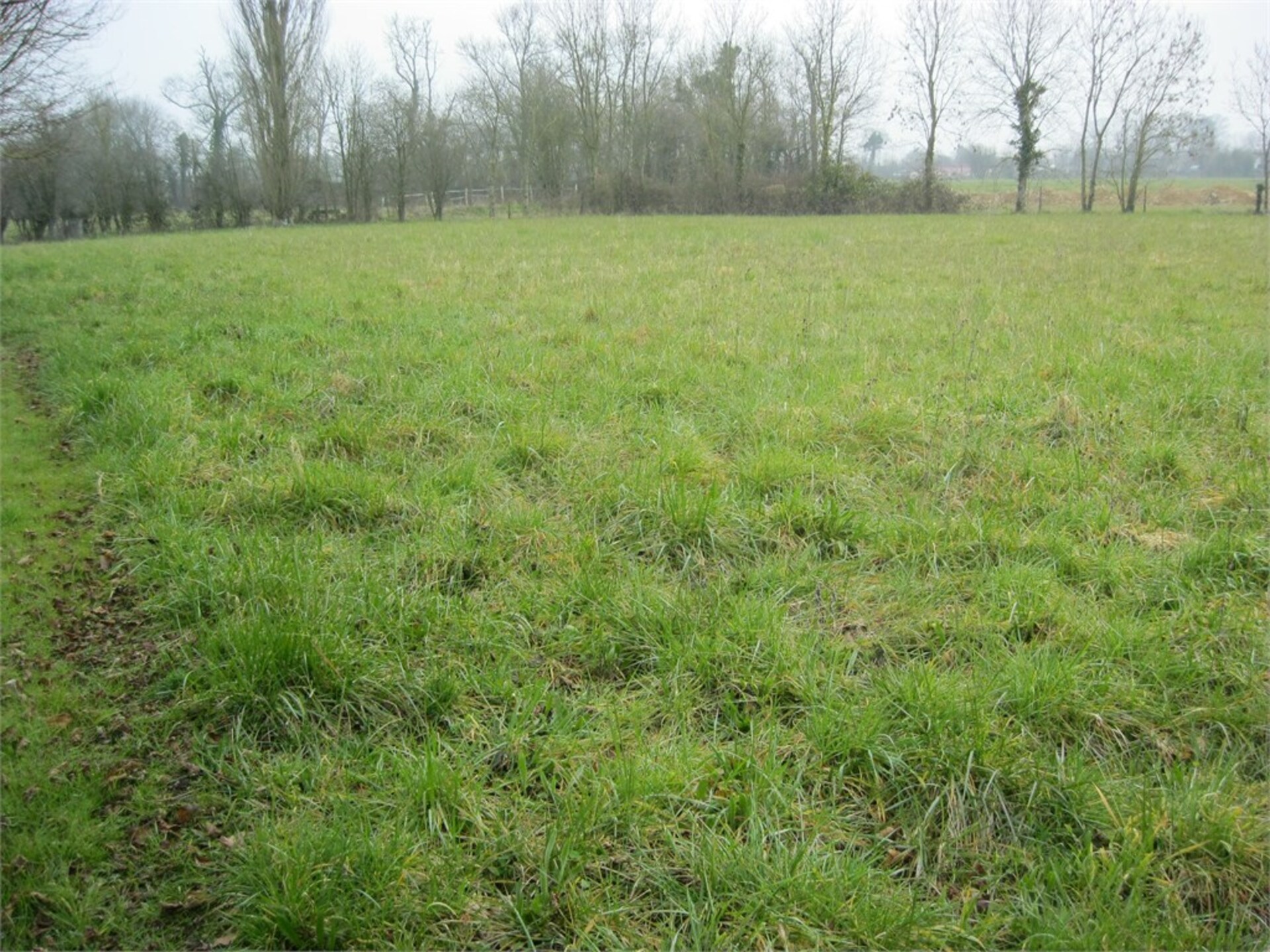 Terrain