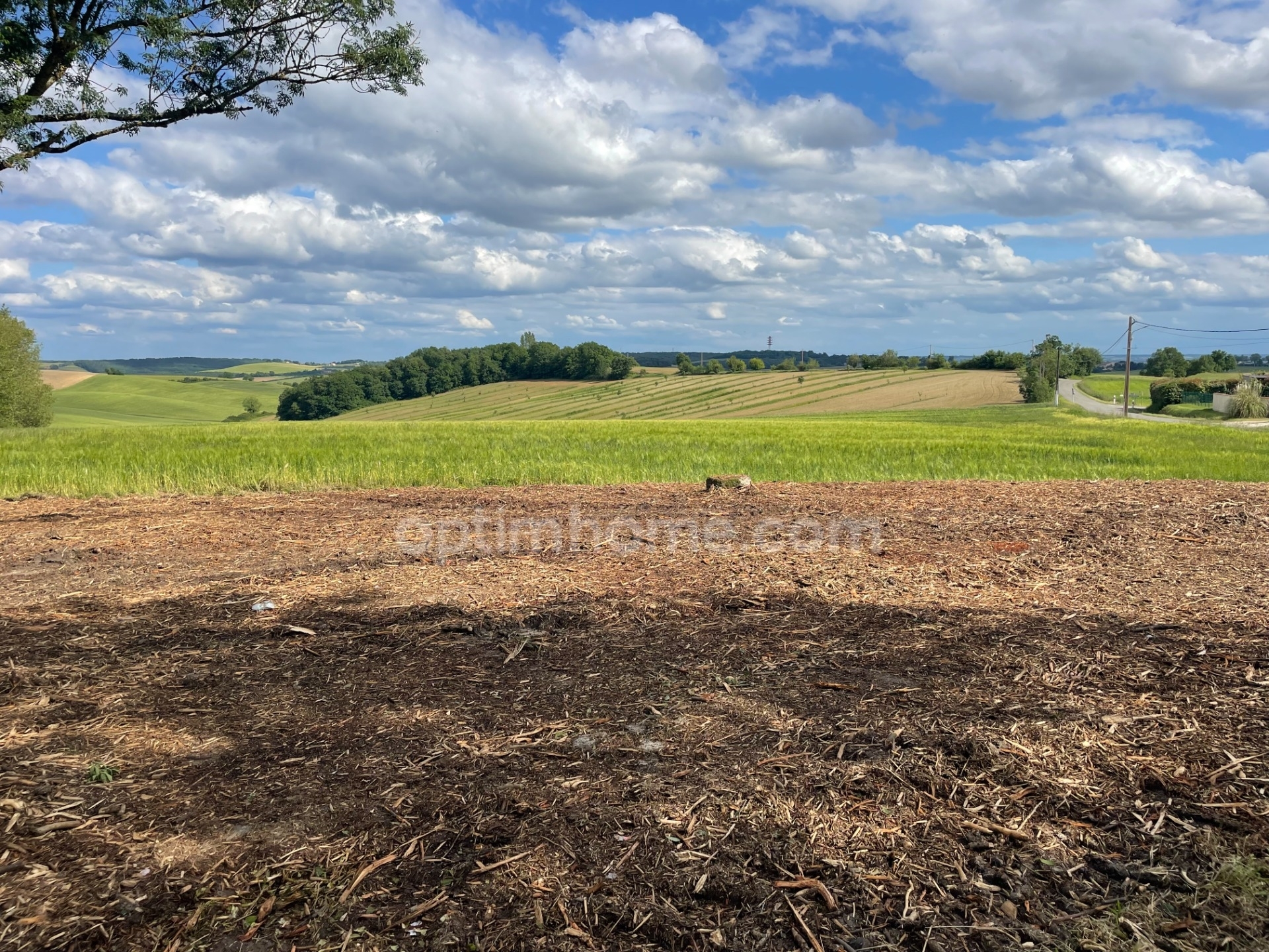 Land