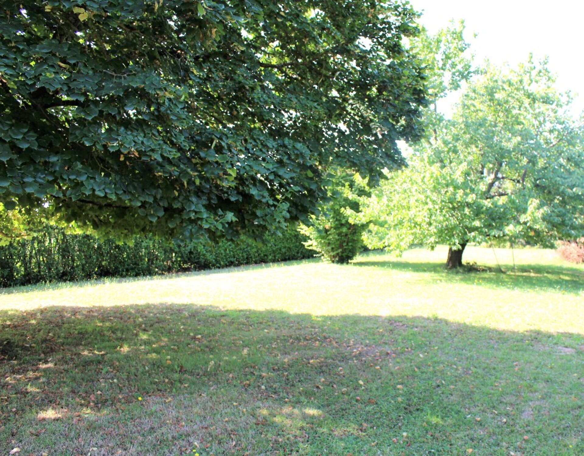 Terrain