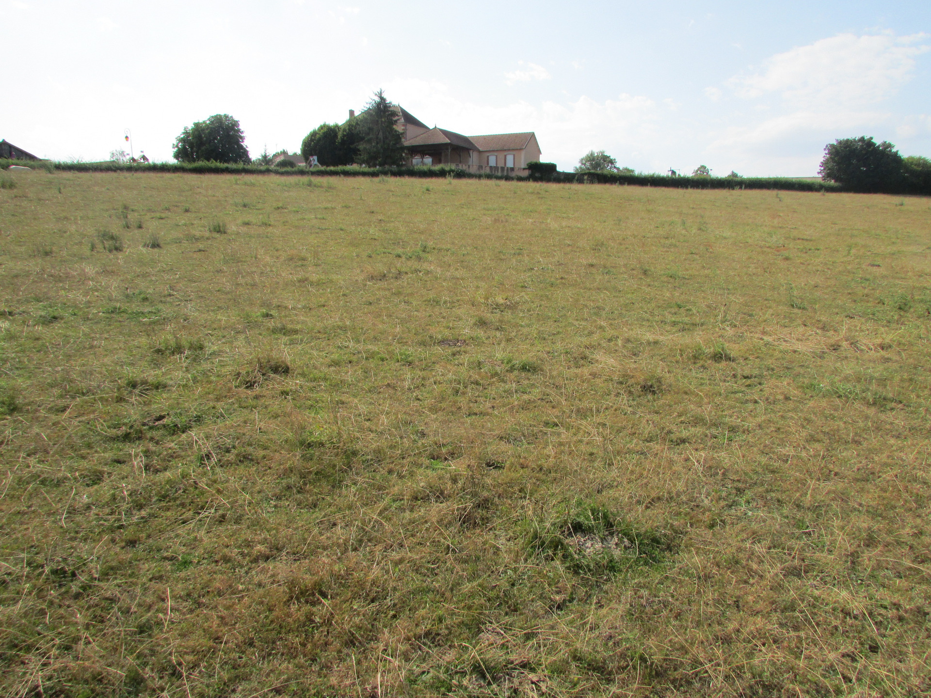 Terrain