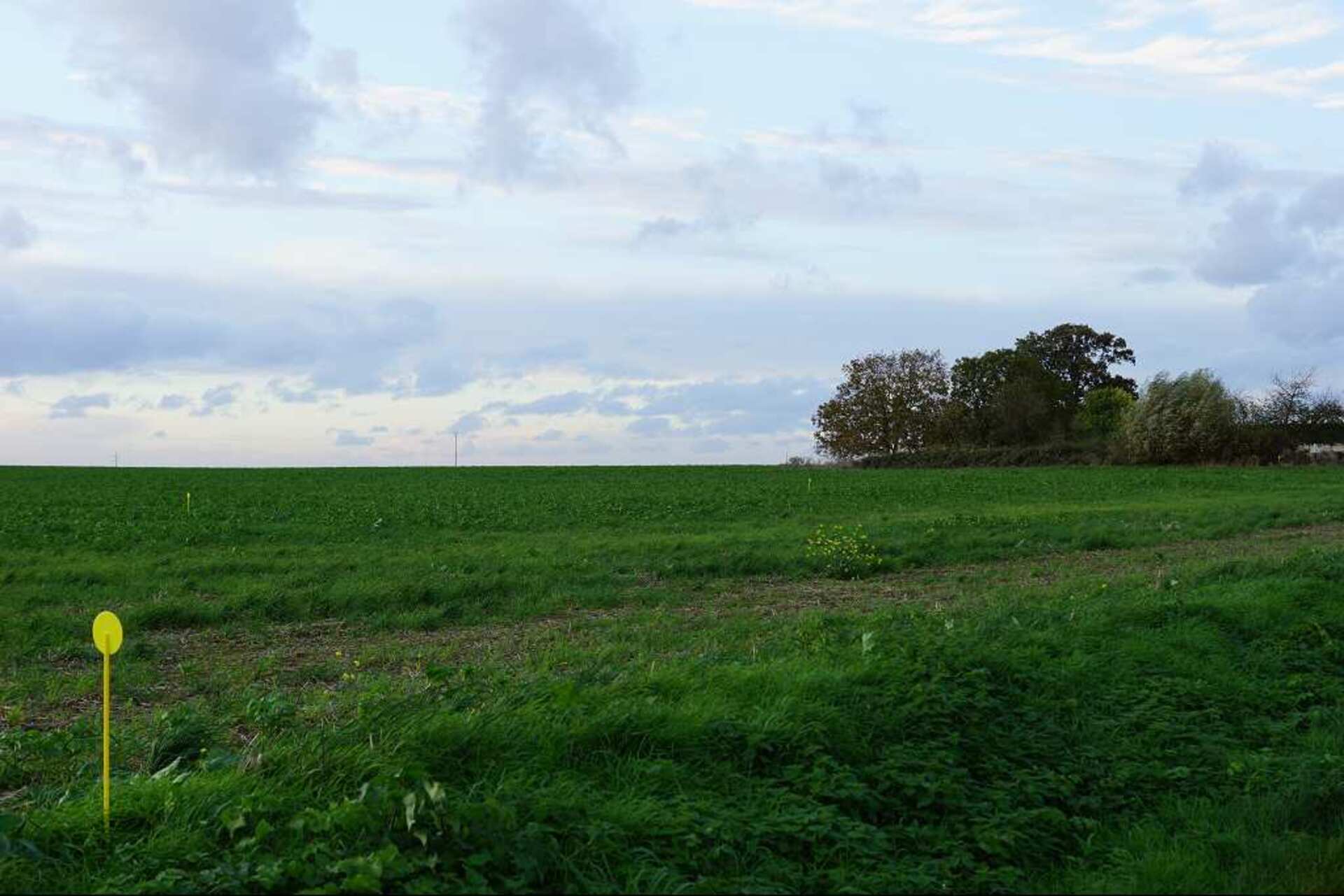 Terrain