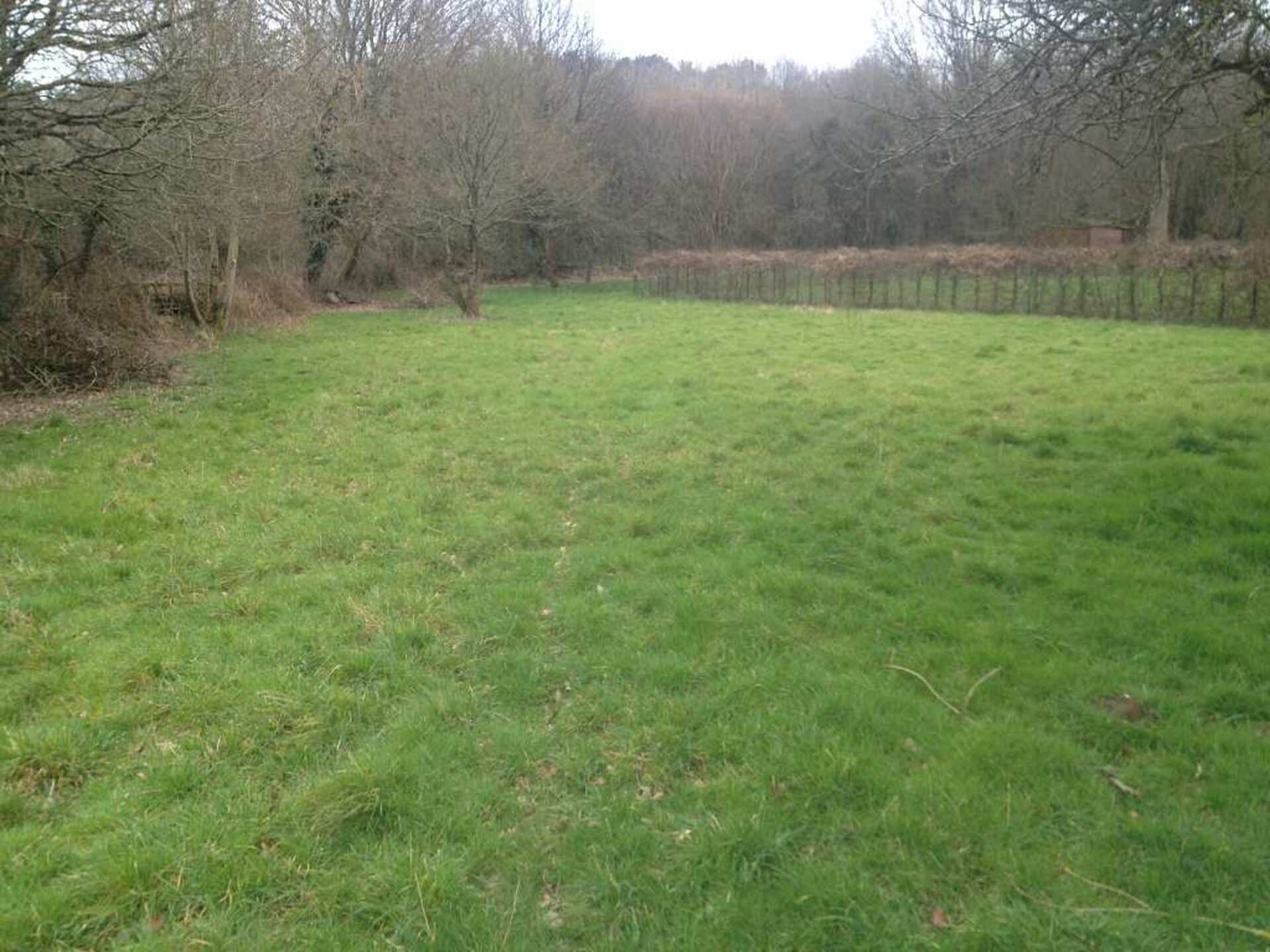 Terrain