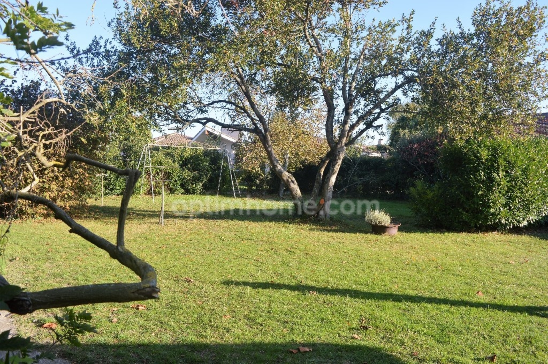Terrain