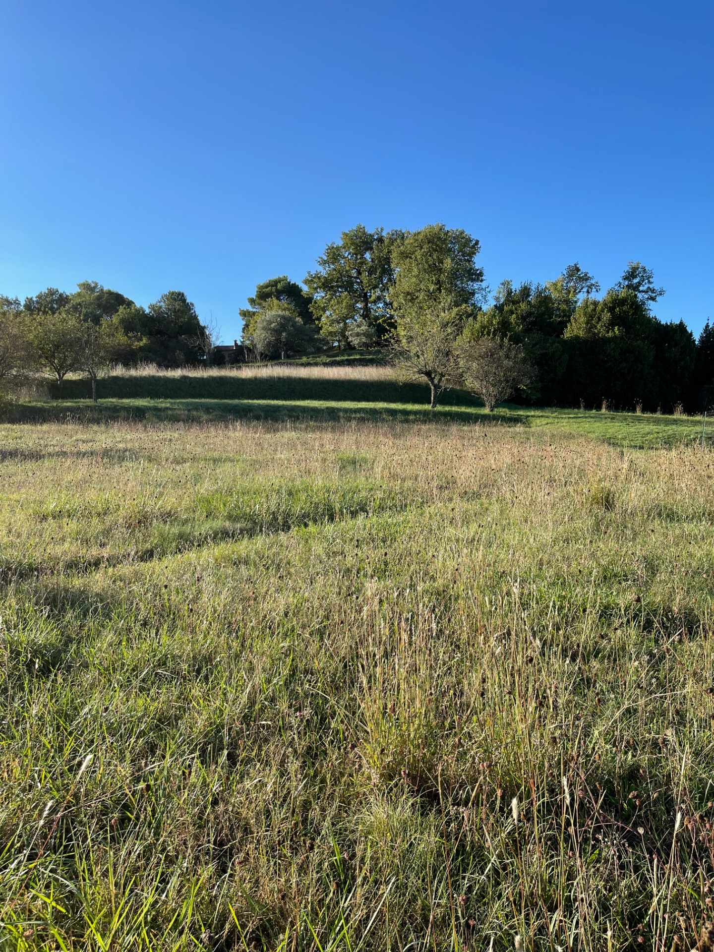 Terrain