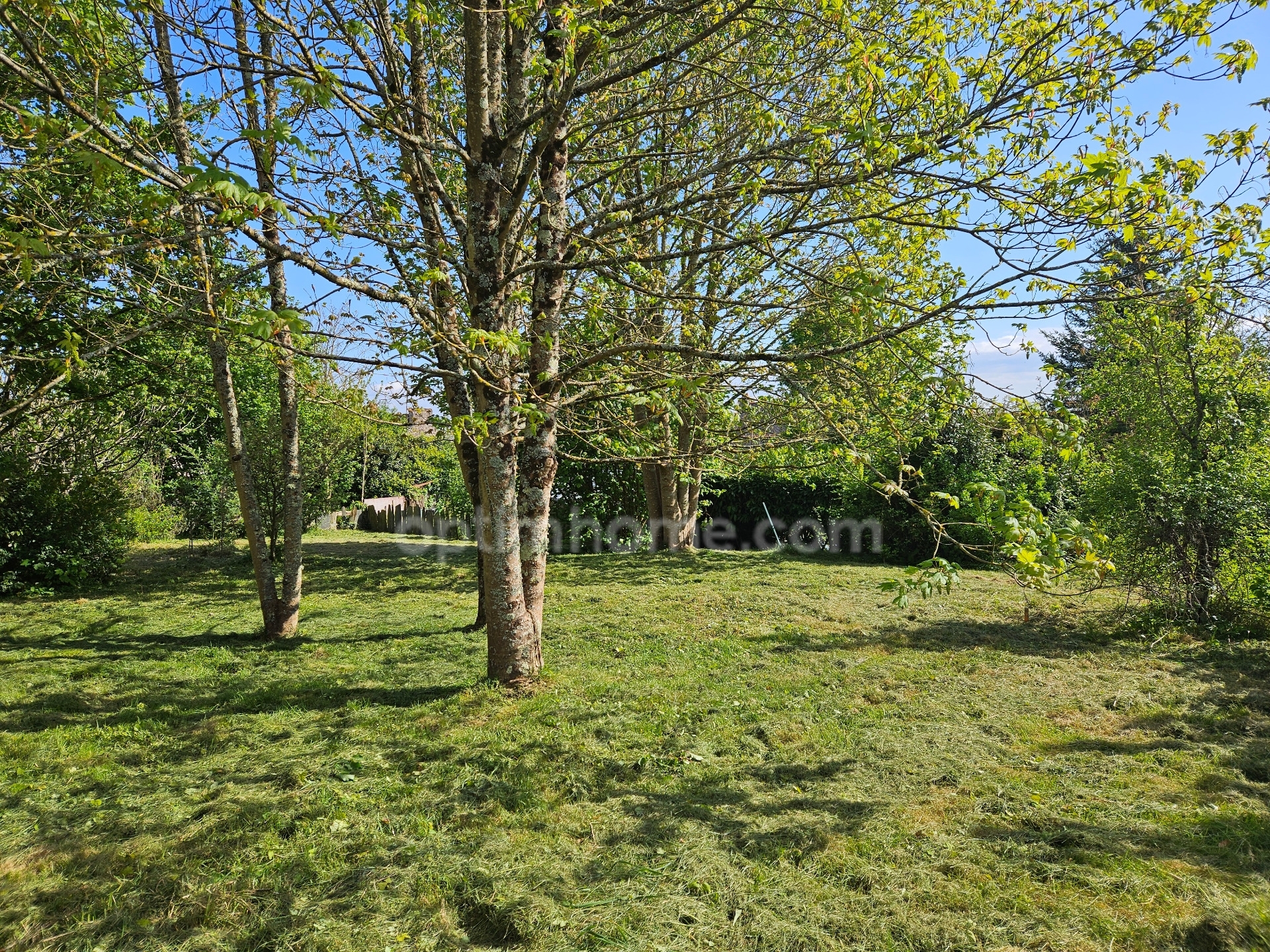 Terrain