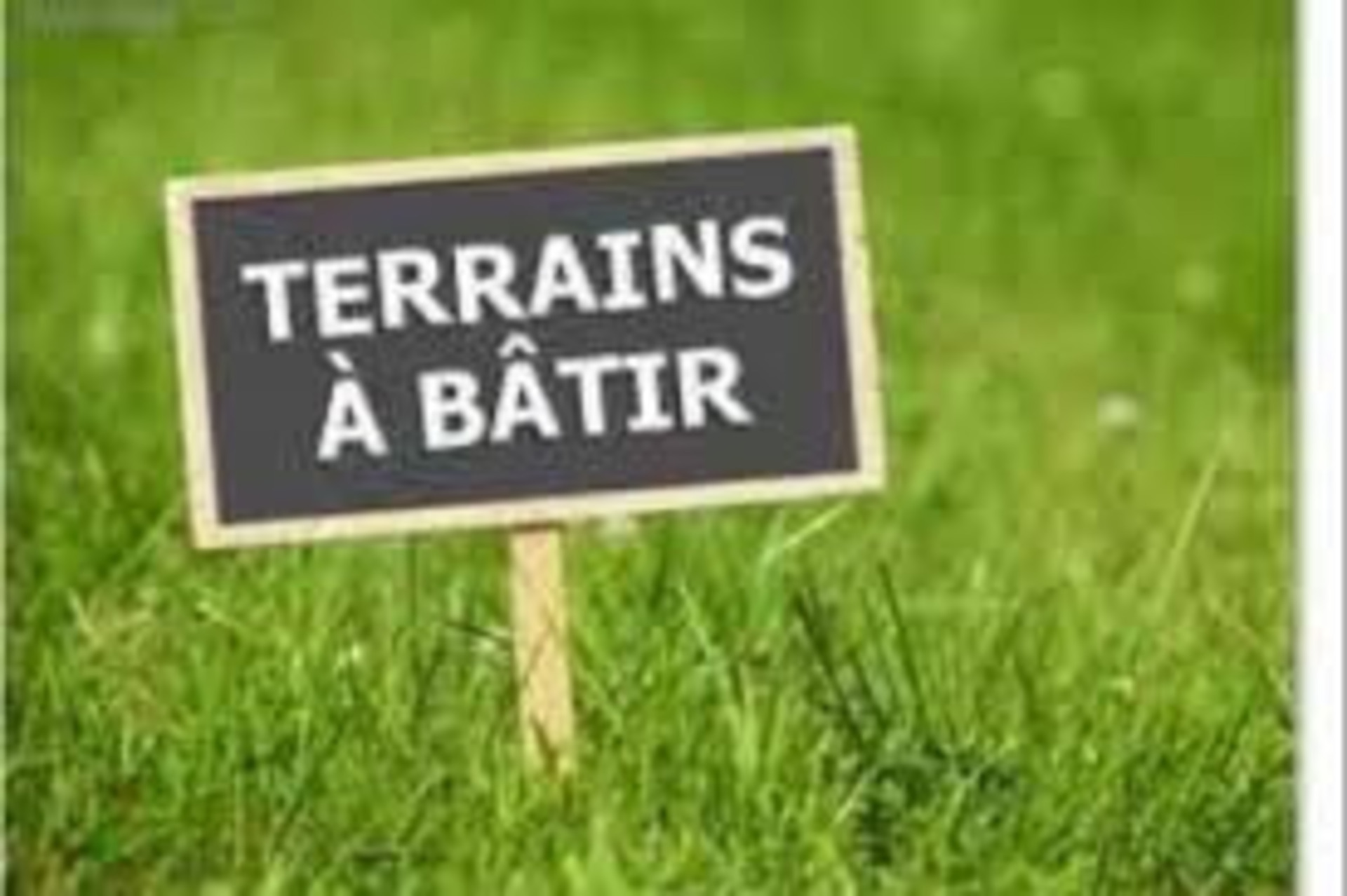 Terrain