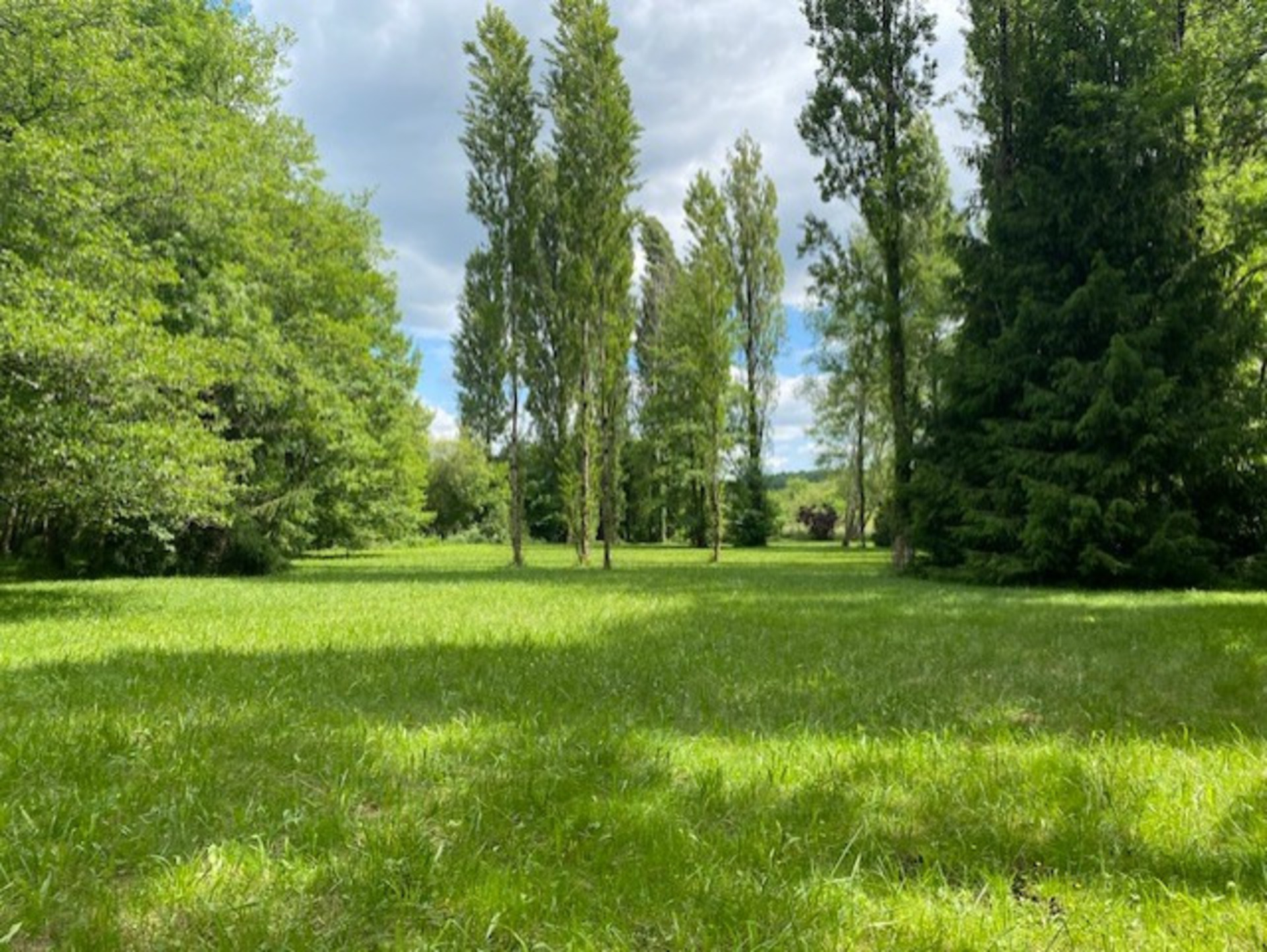 Terrain