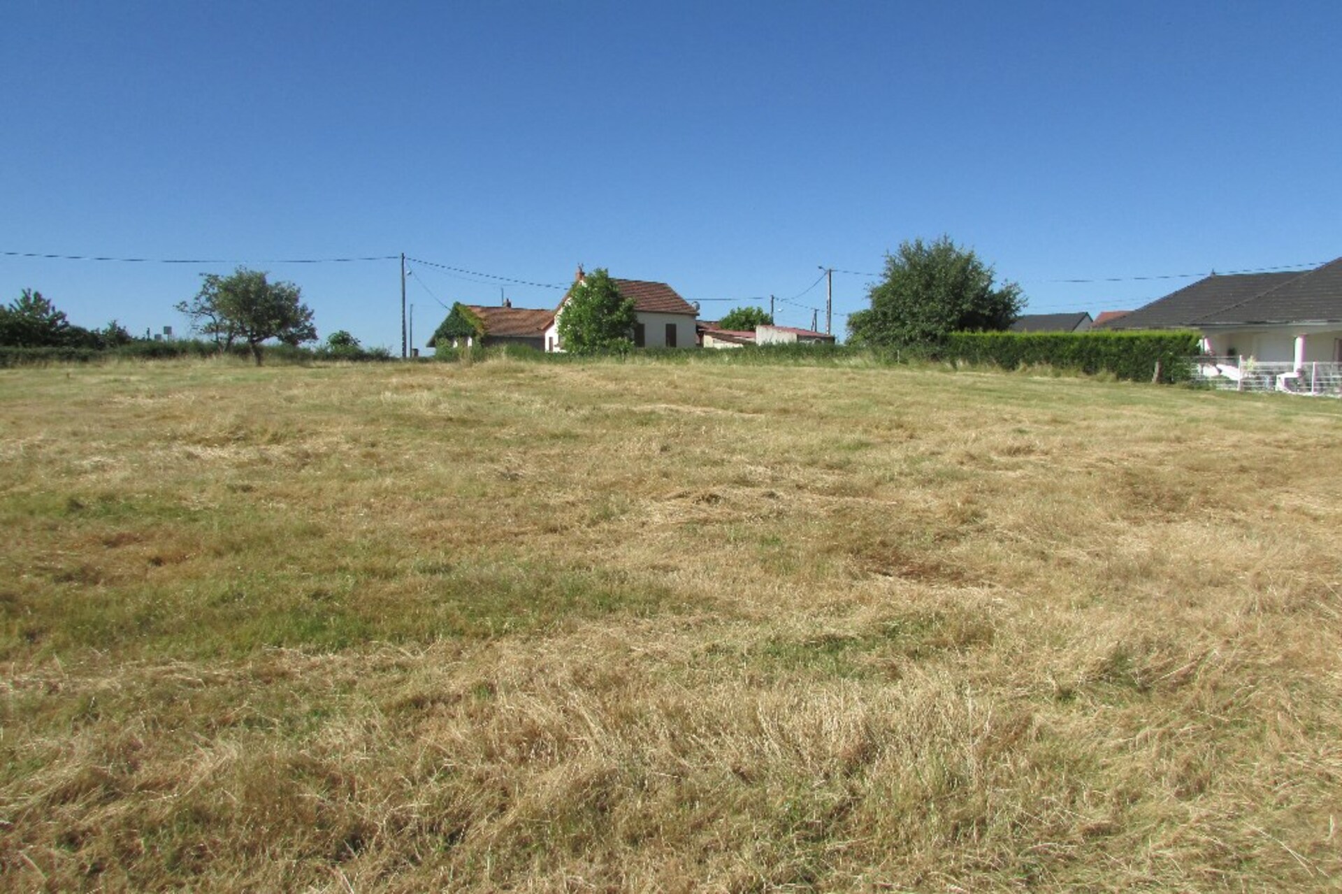 Terrain