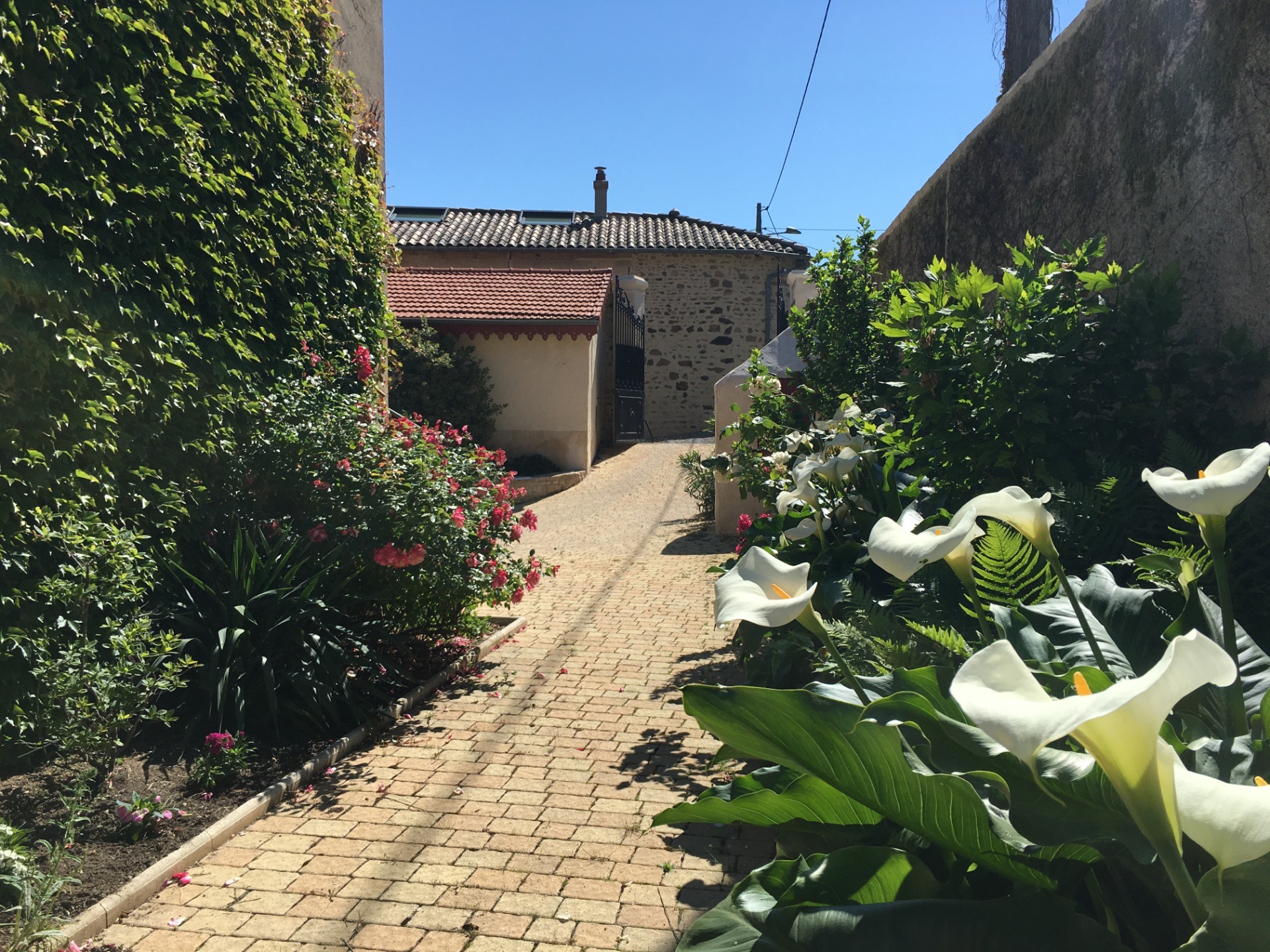 Maison