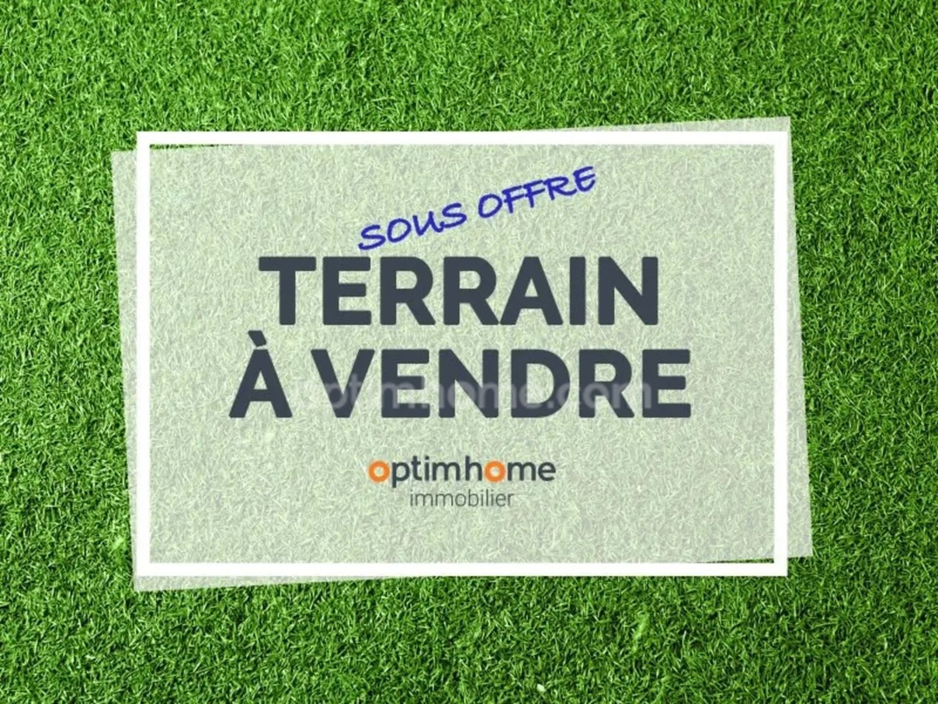 Terrain