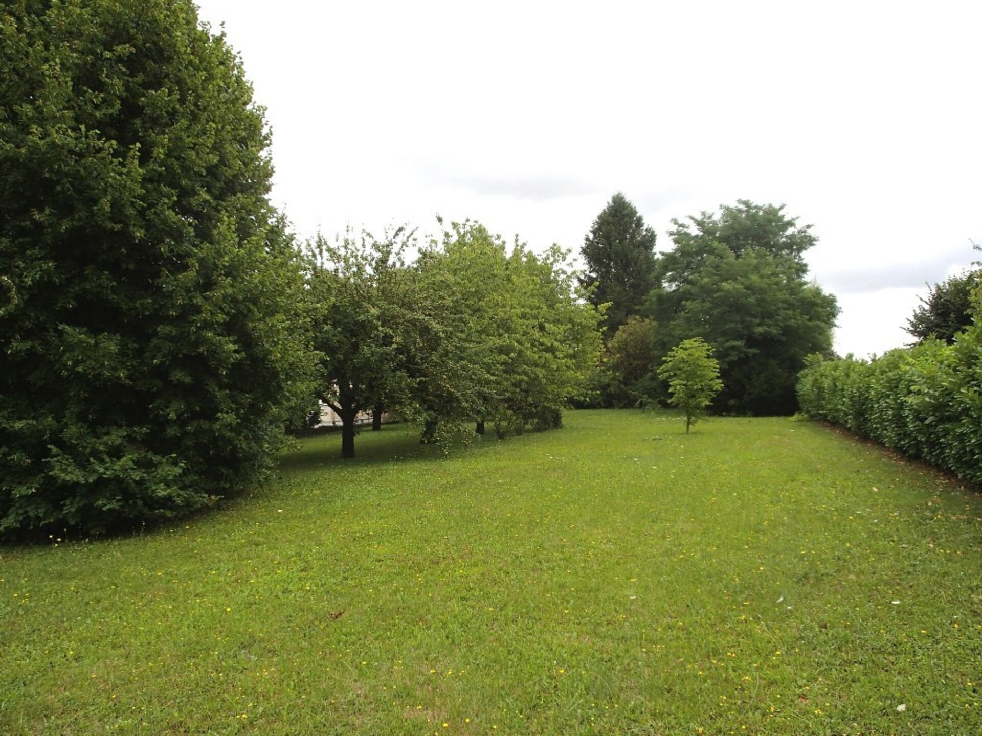 Terrain