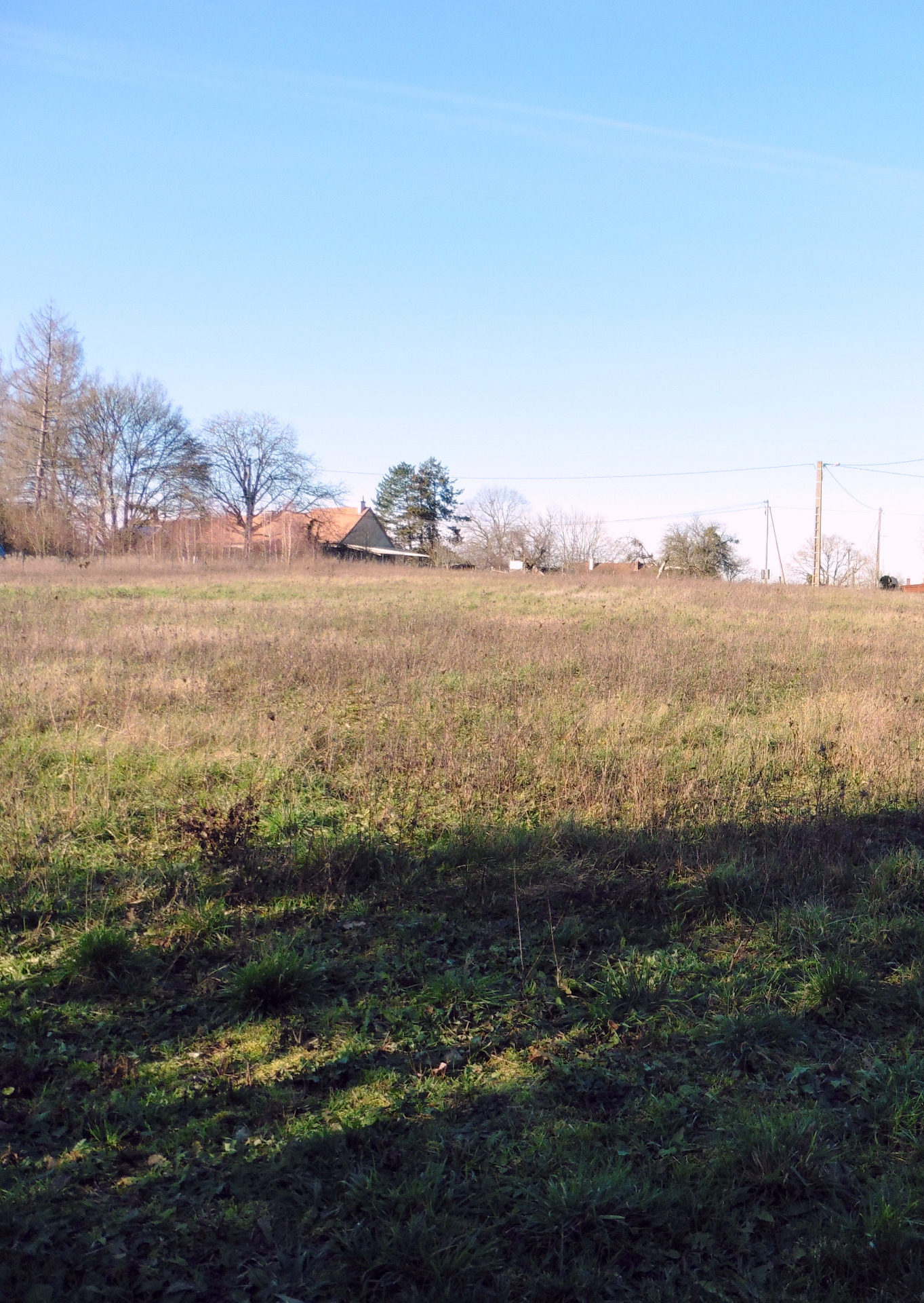 Terrain