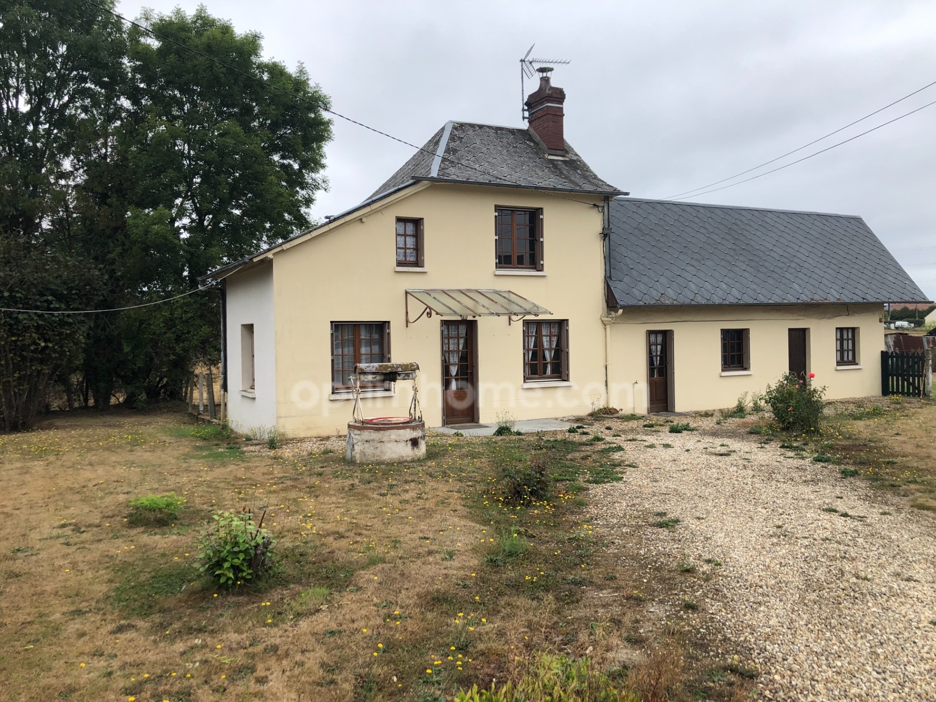 Maison