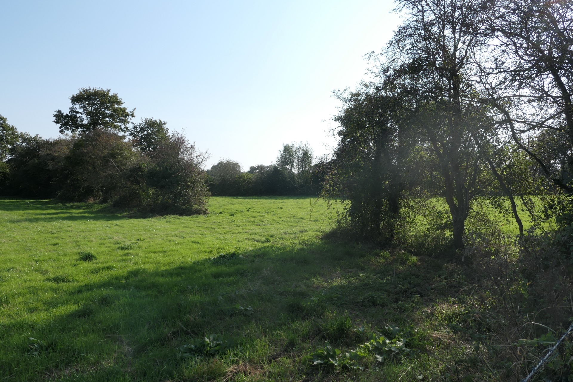 Terrain