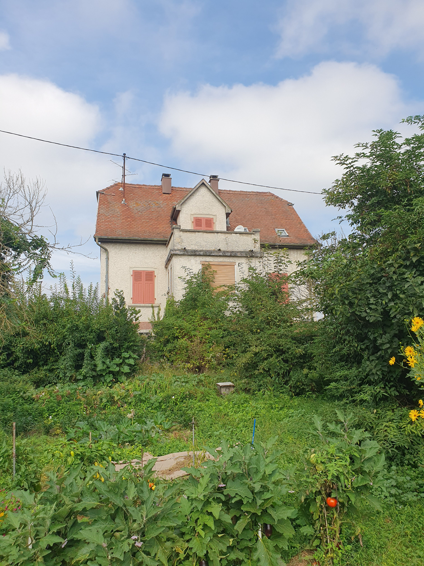 Maison