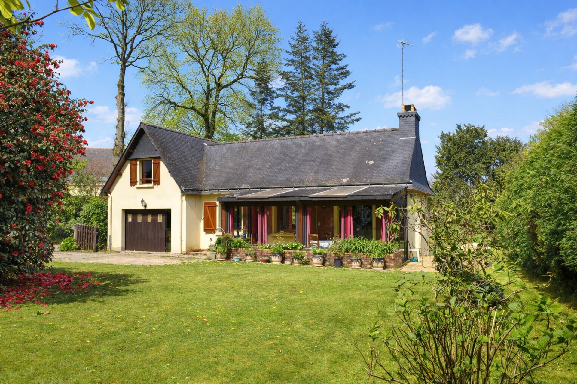 Maison