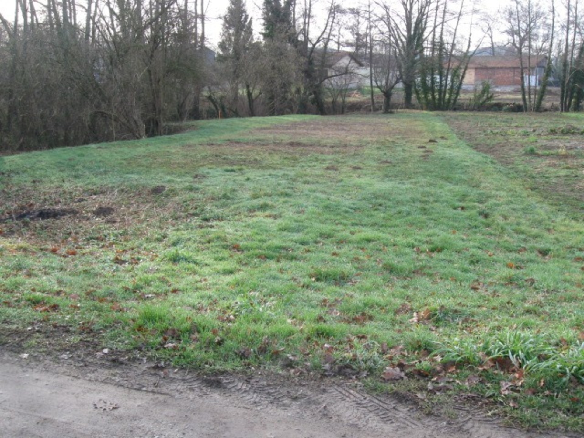 Terrain