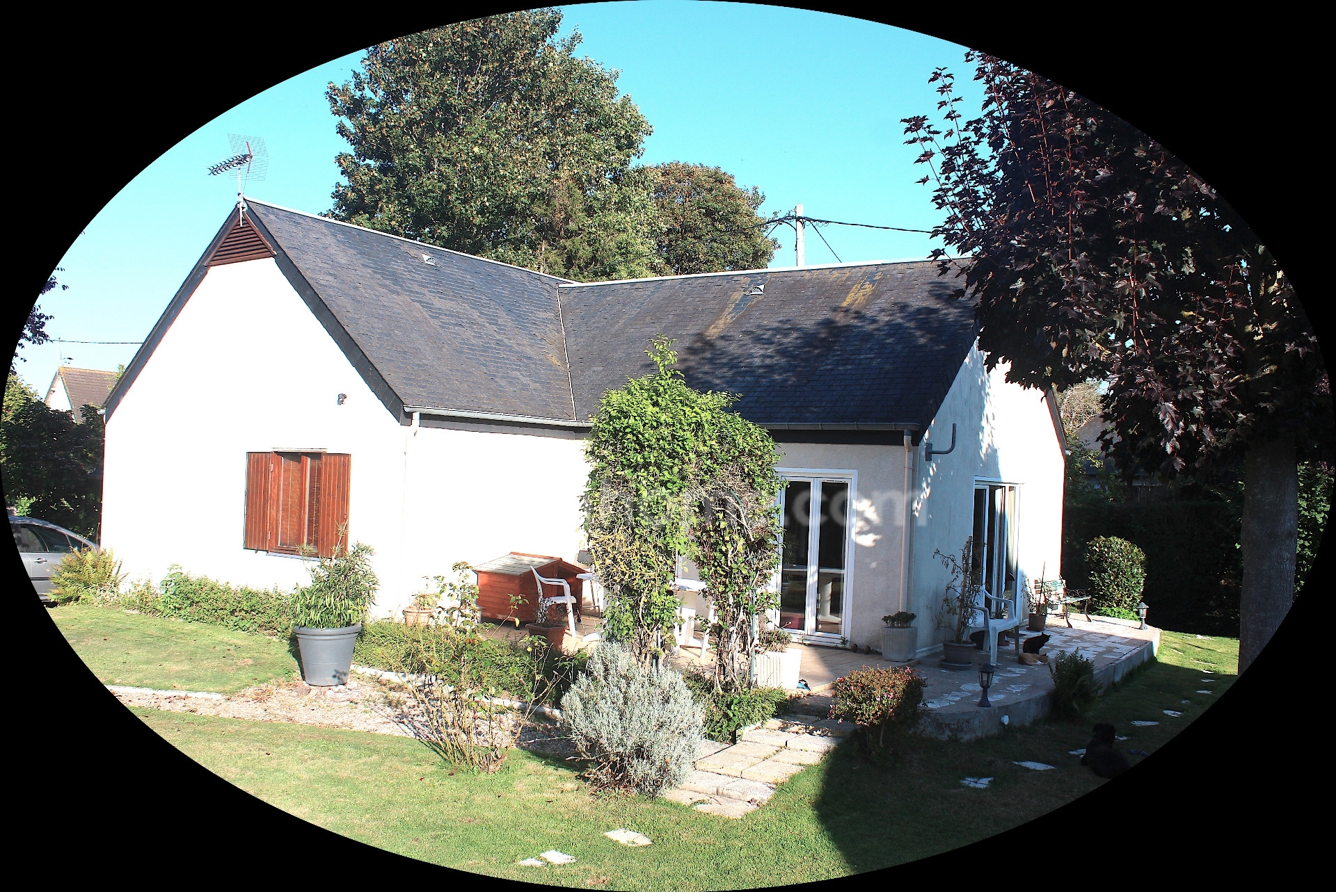 Maison