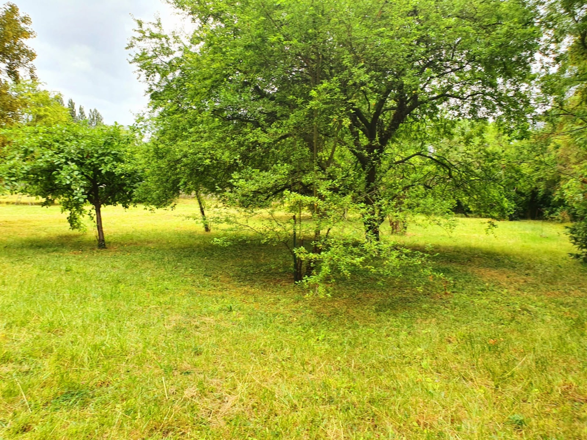 Terrain