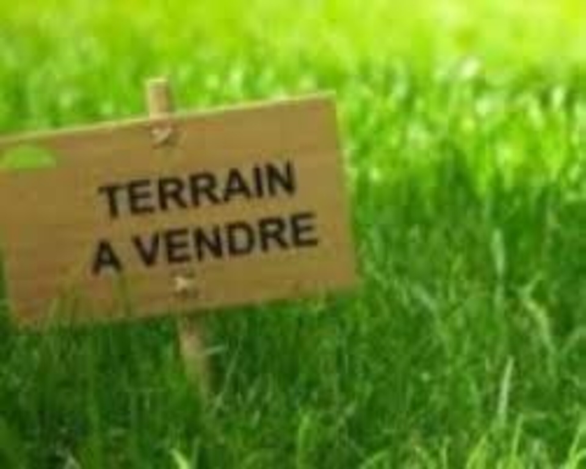 Terrain