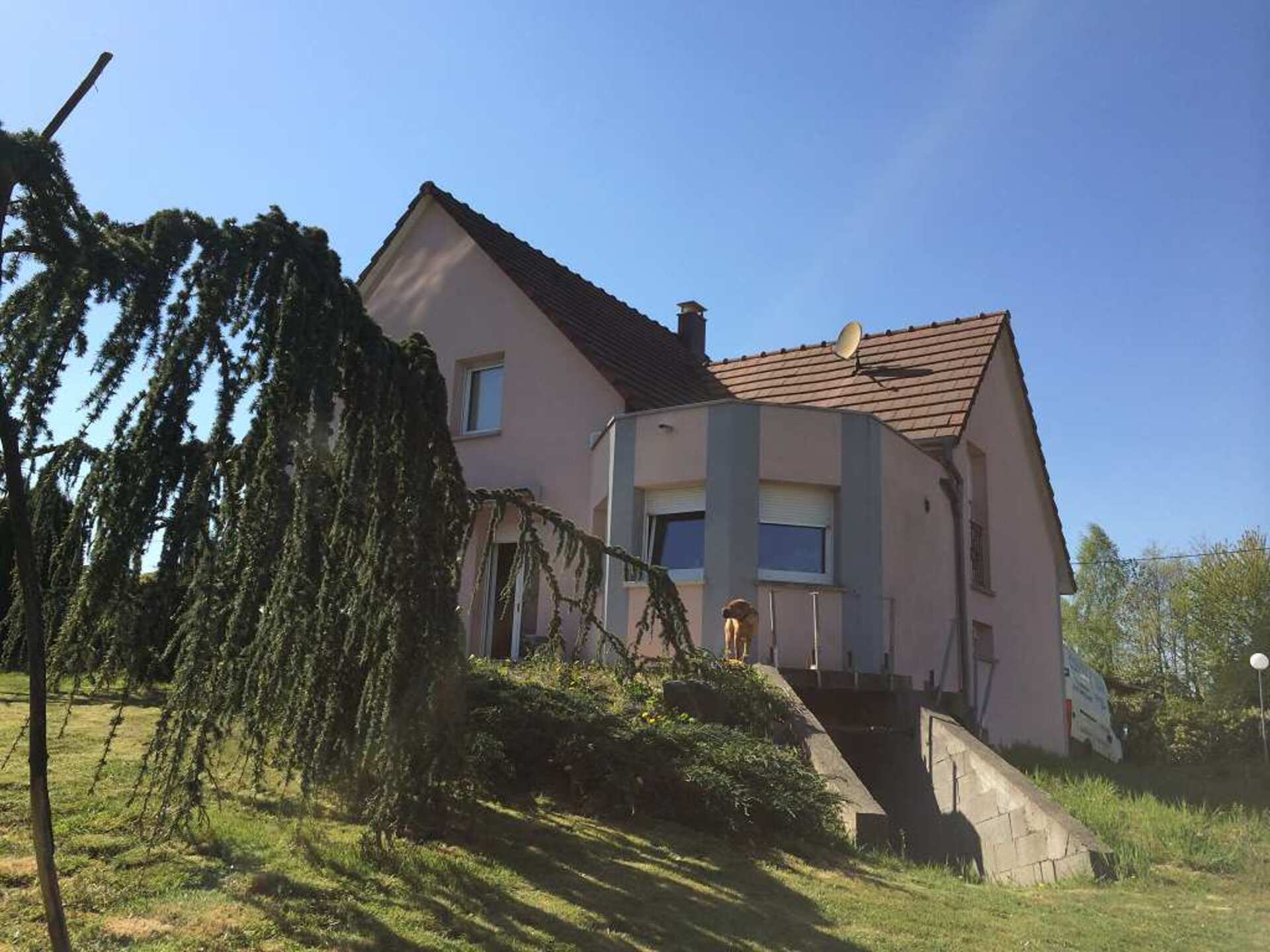 Maison