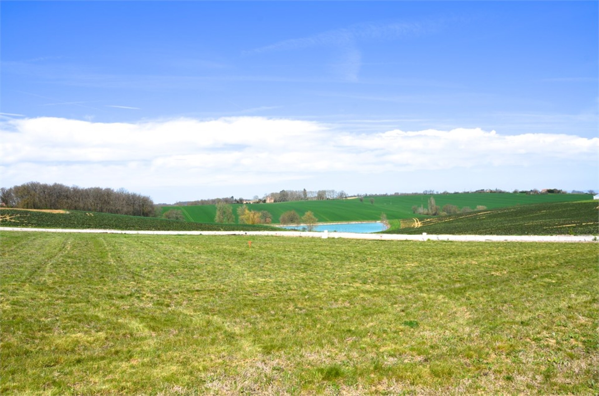 Terrain